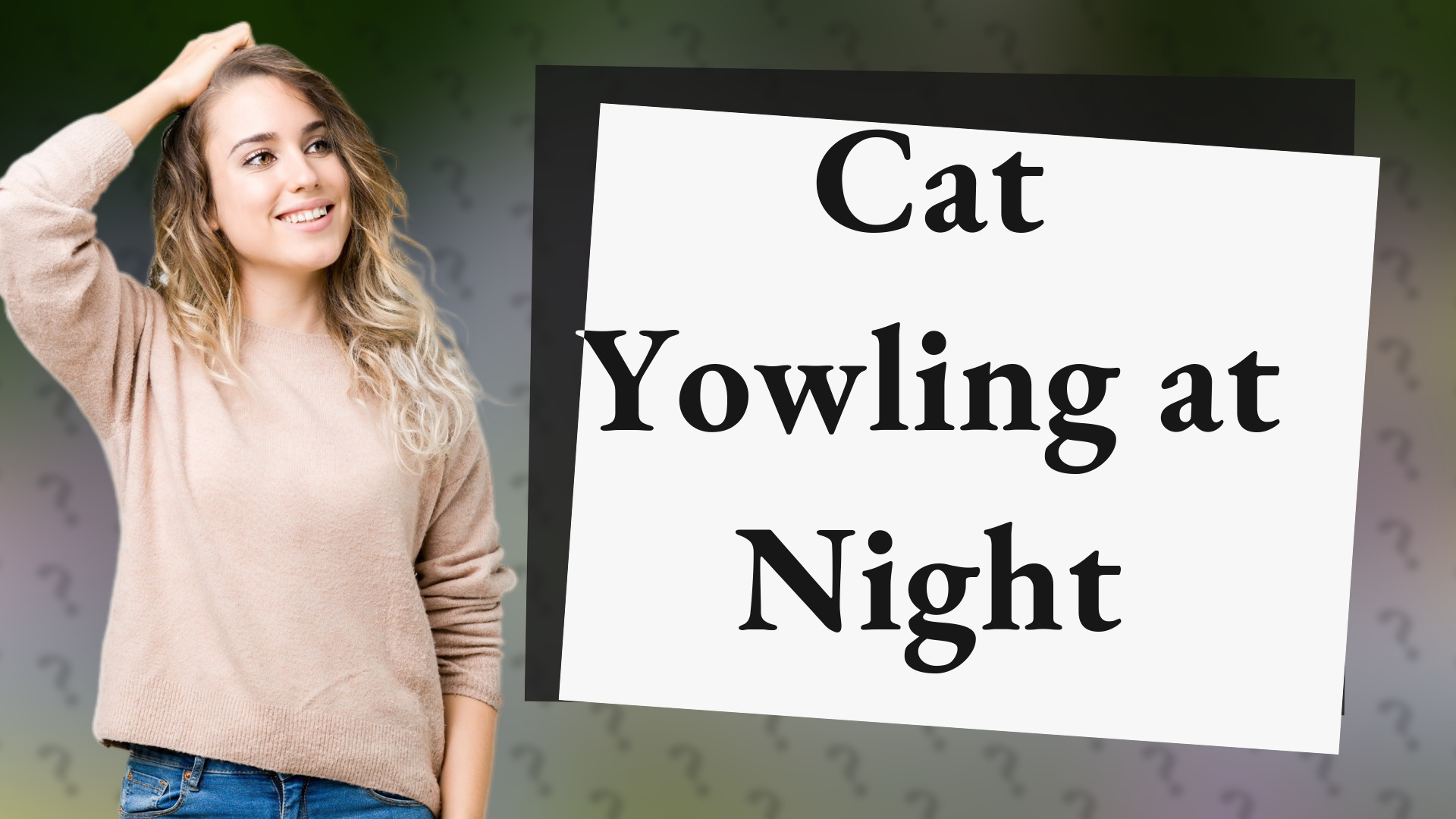 Cat Yowling at Night