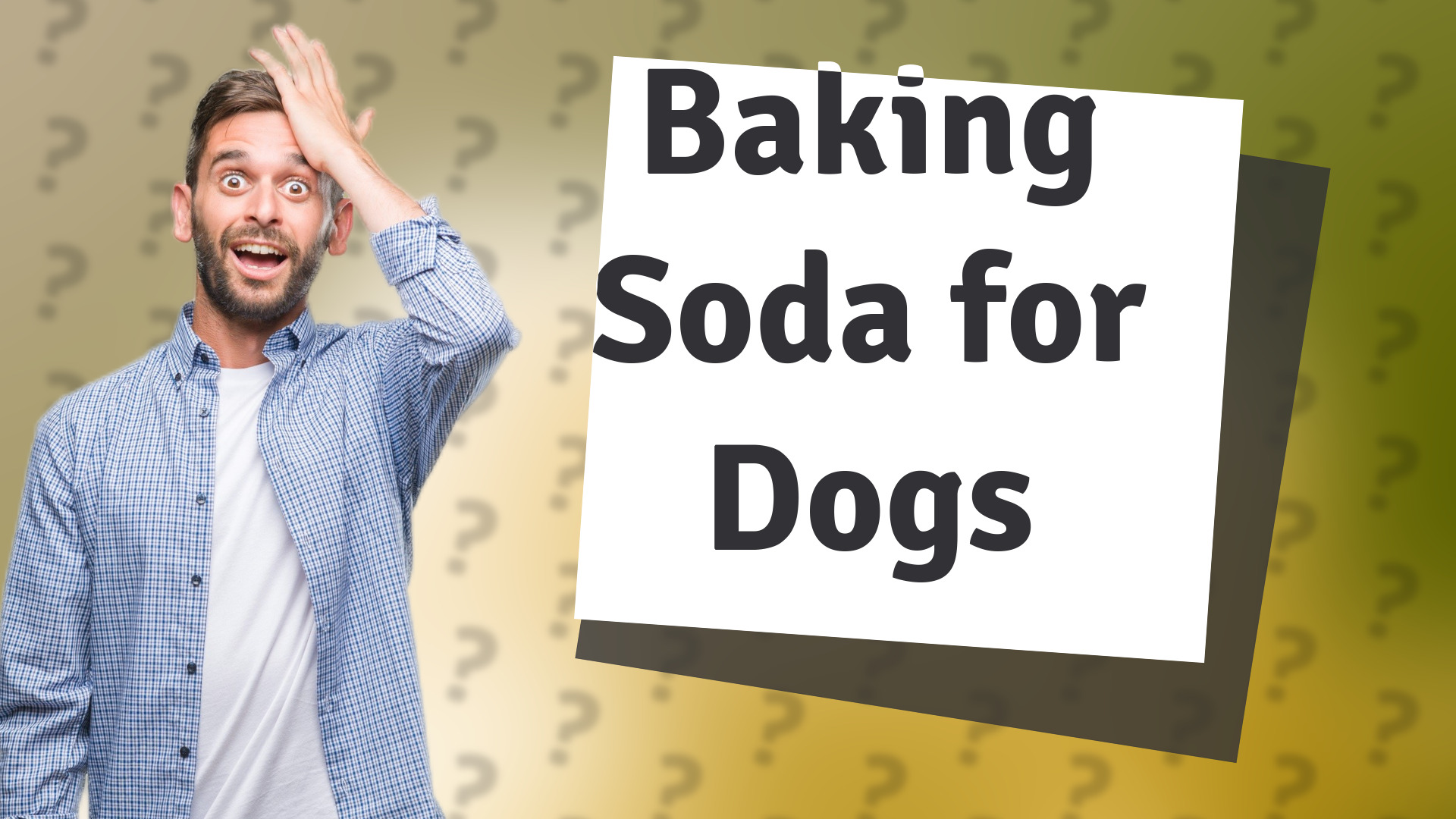 Baking Soda for Dogs