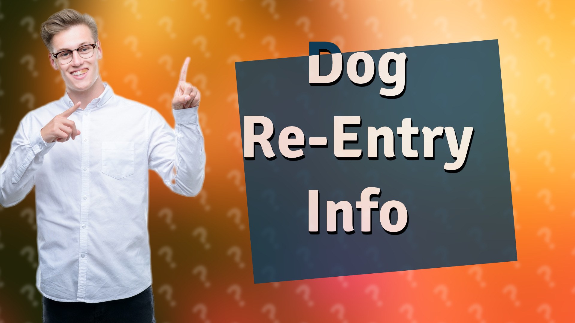Dog Re-Entry Info