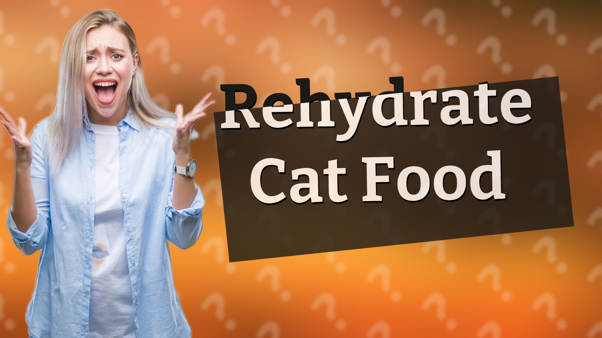 Rehydrate Cat Food