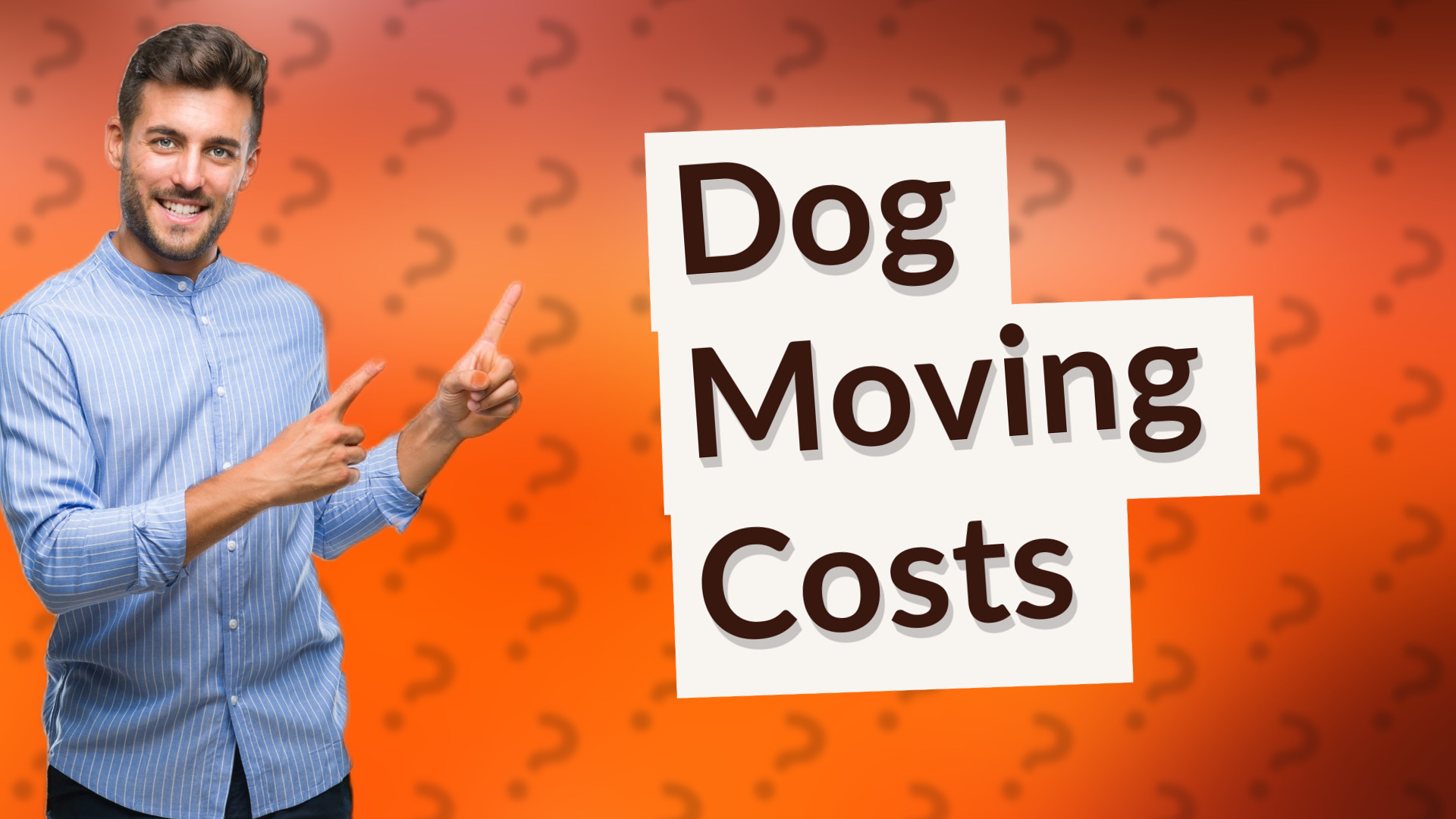 Dog Moving Costs