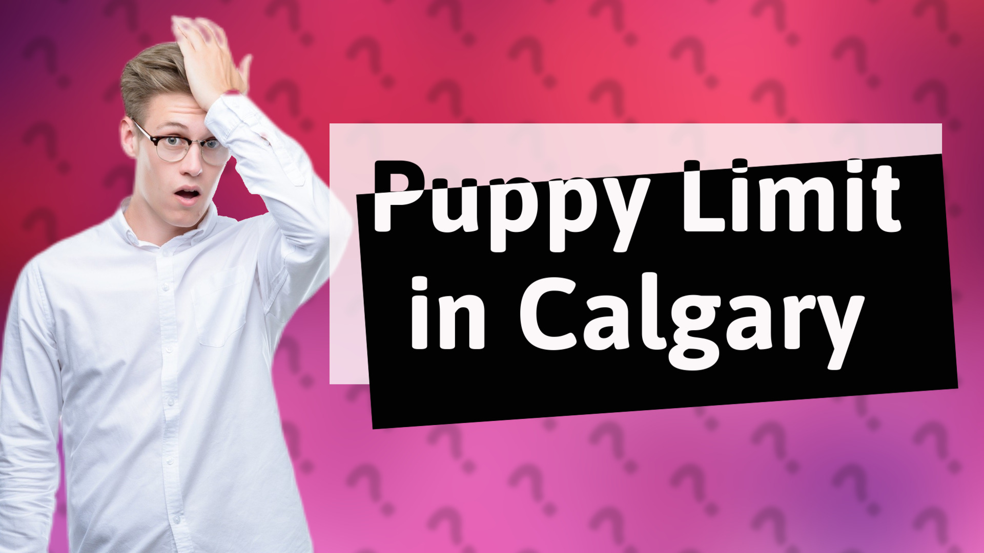 Puppy Limit in Calgary