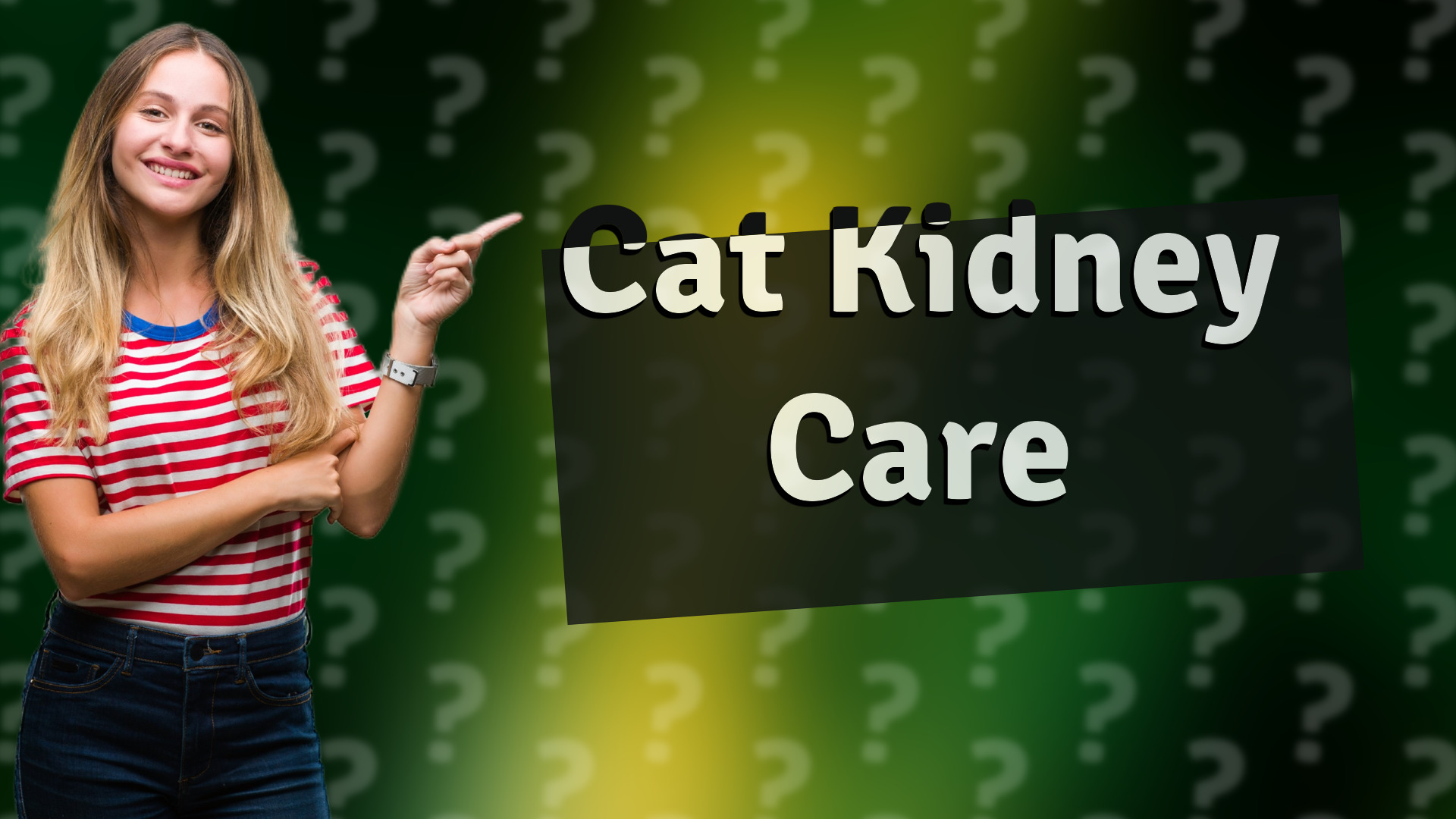 Cat Kidney Care