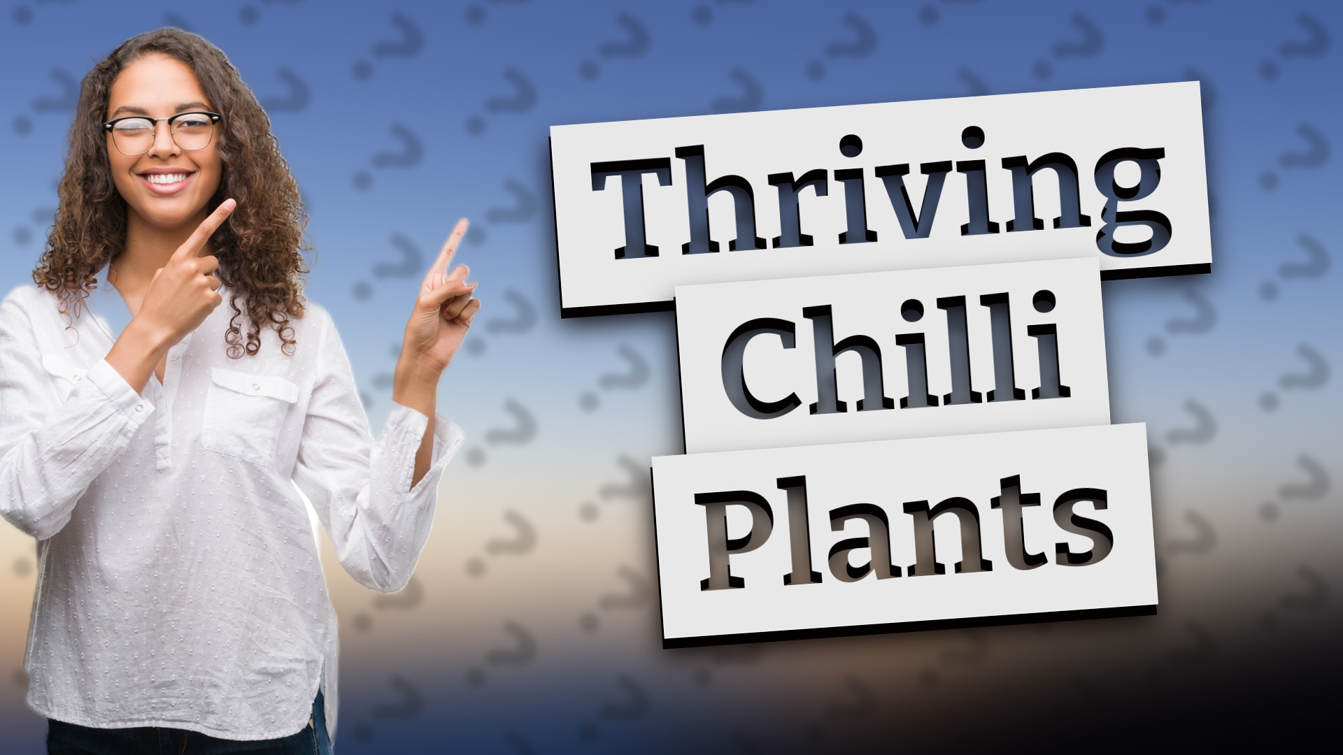 Thriving Chilli Plants