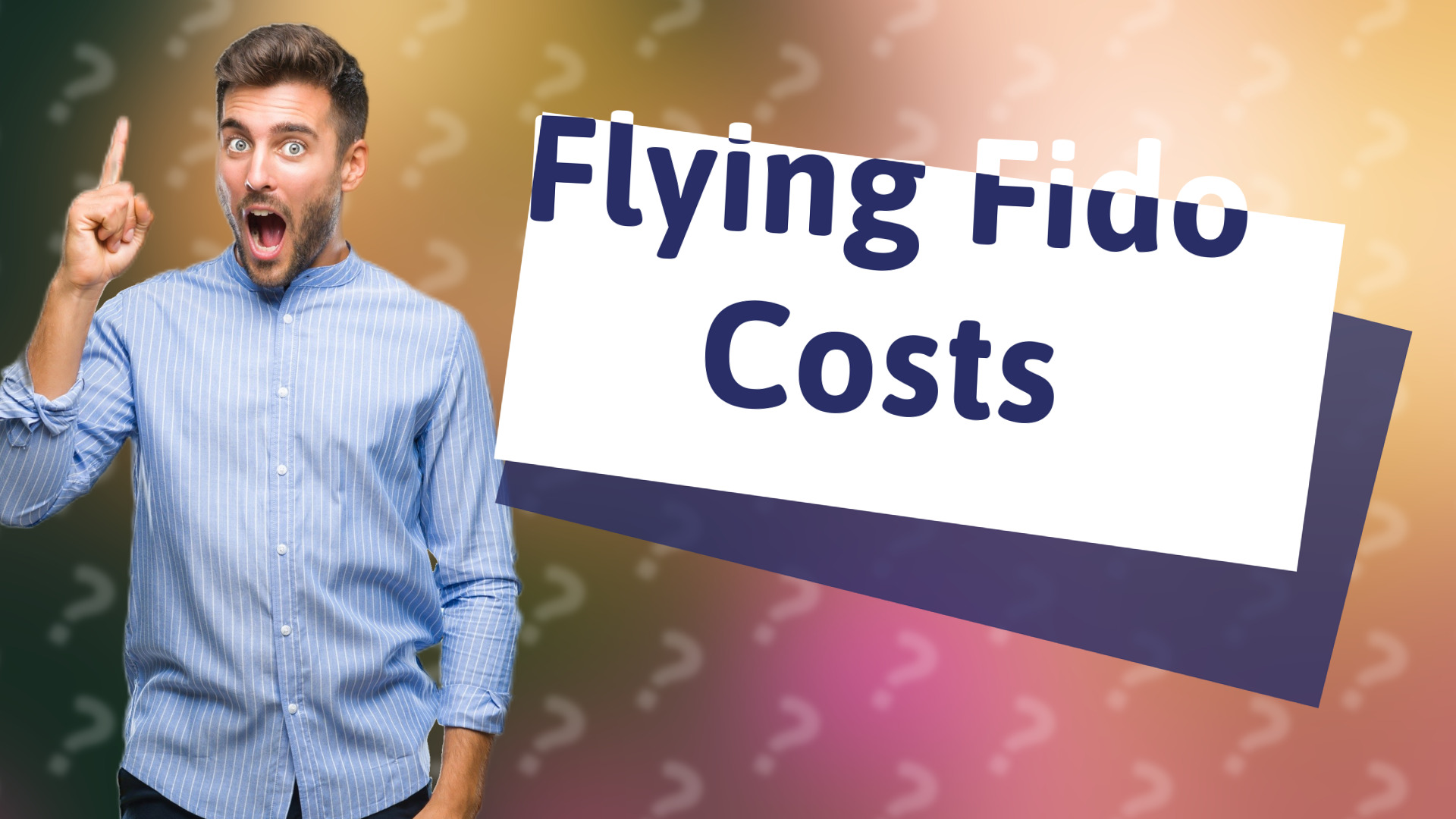 Flying Fido Costs