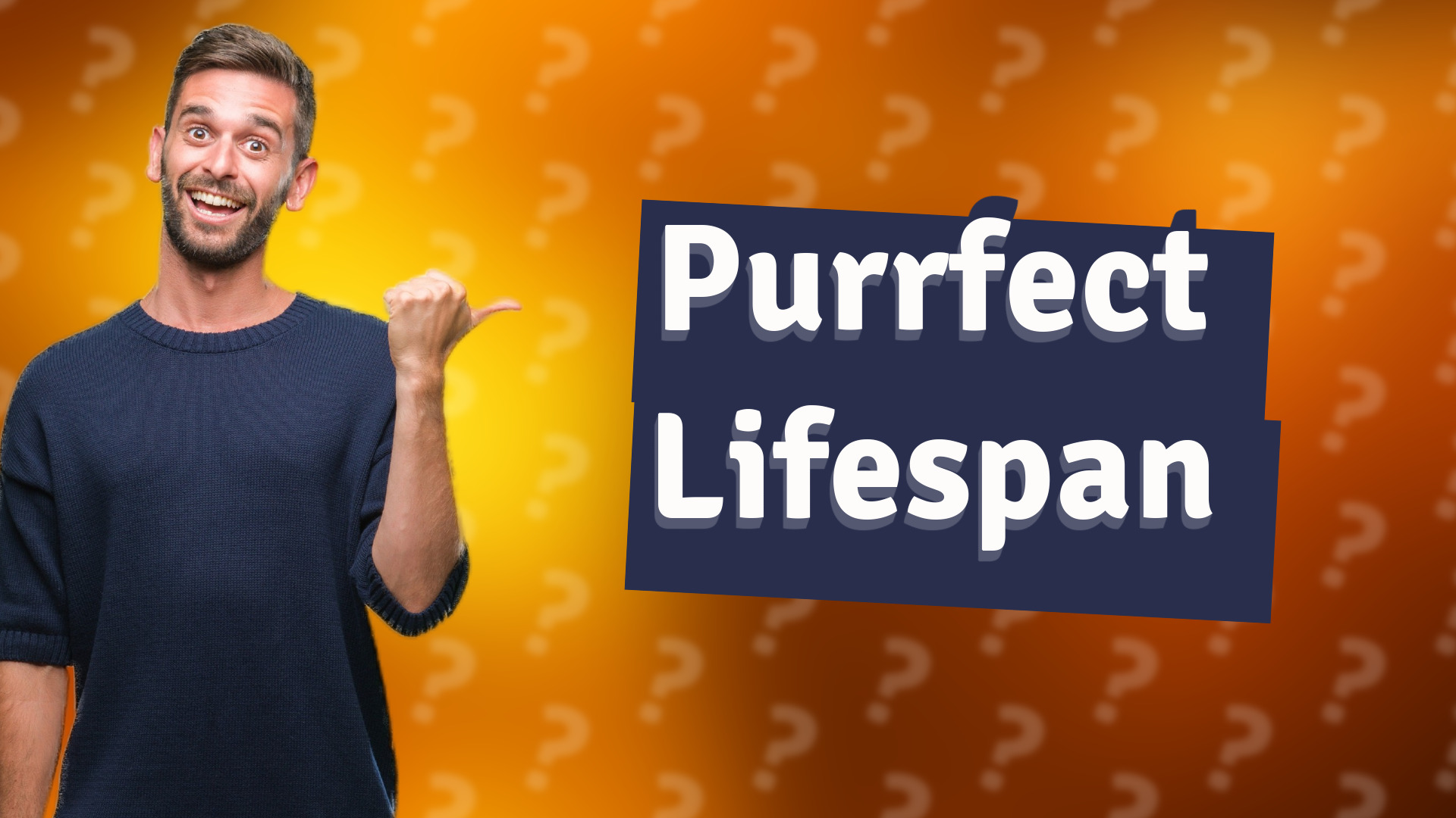 Purrfect Lifespan