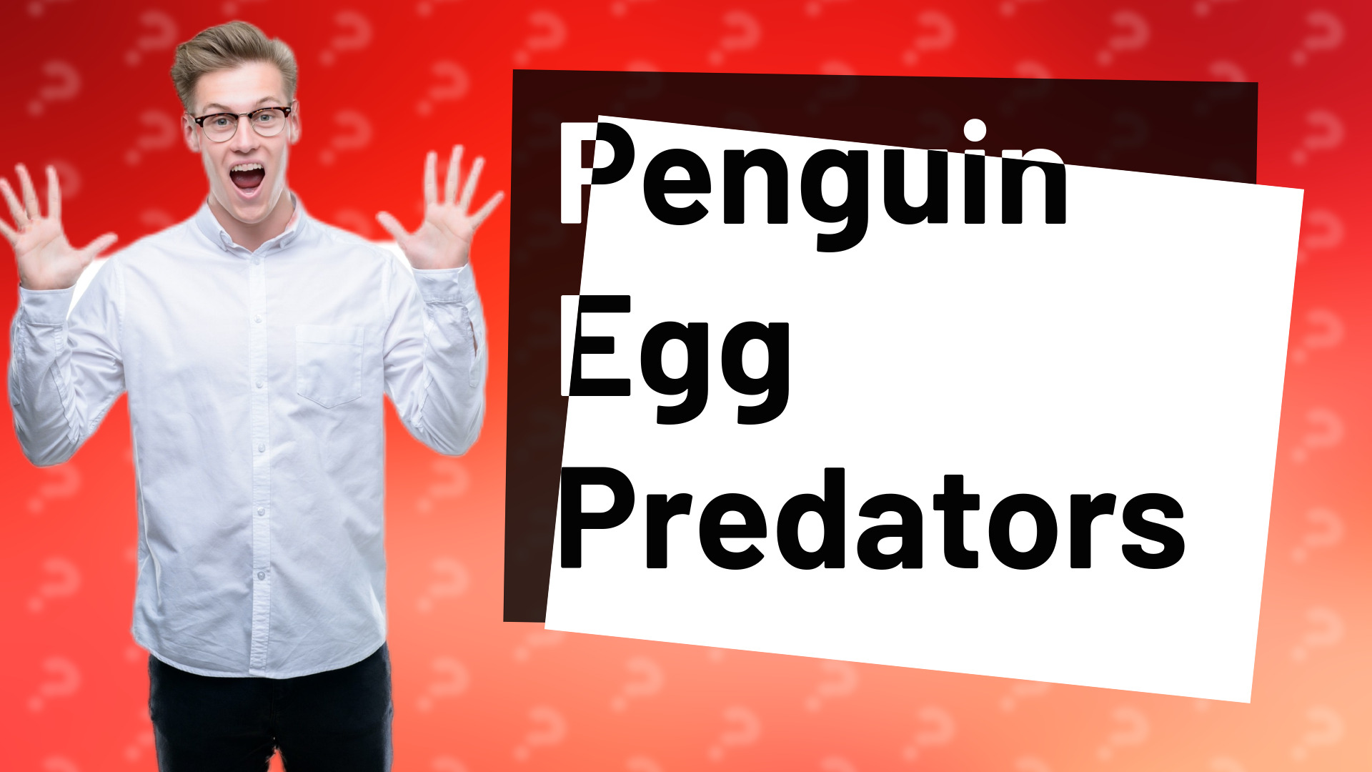 Penguin Egg Predators