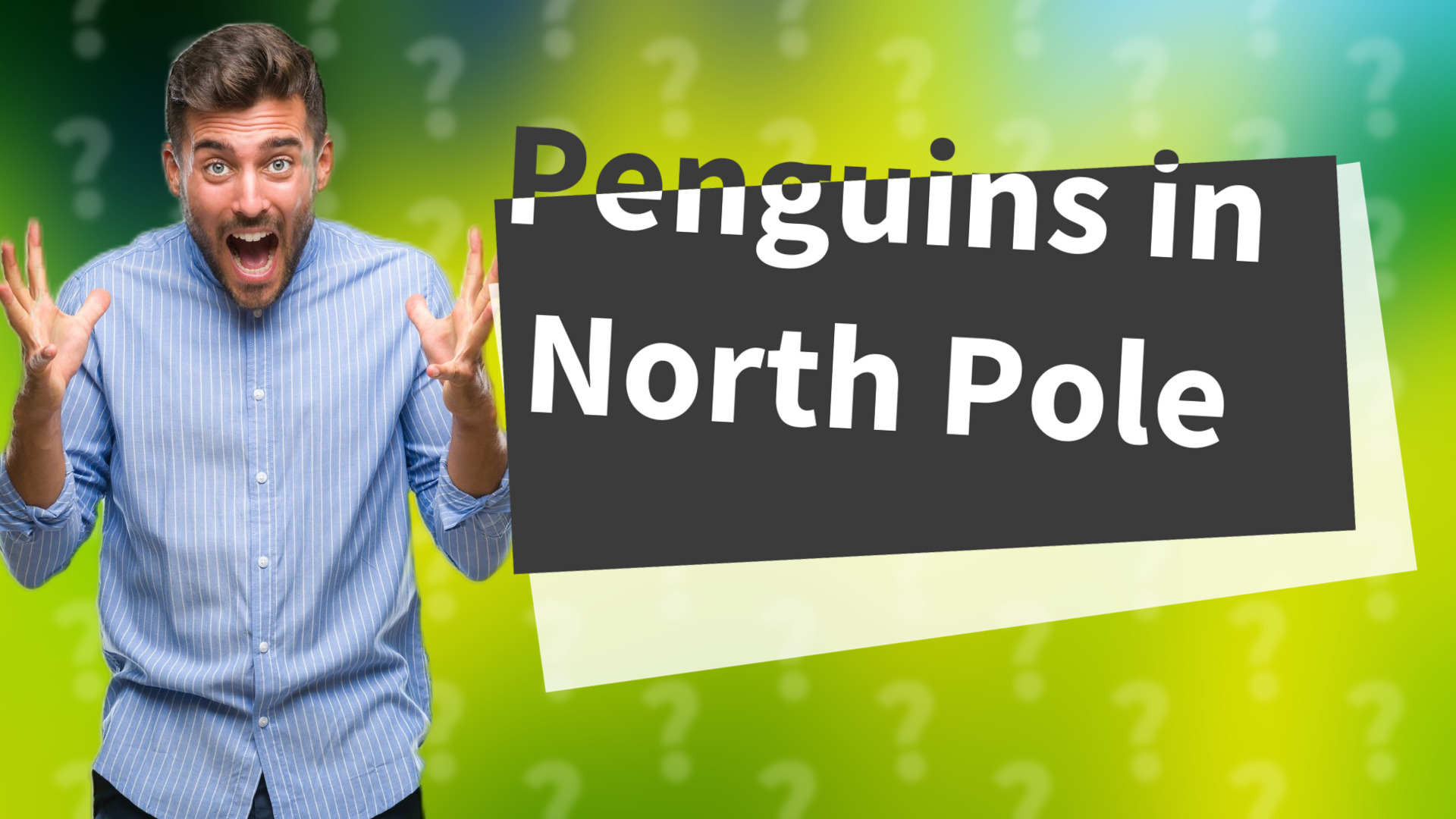 Penguins in North Pole