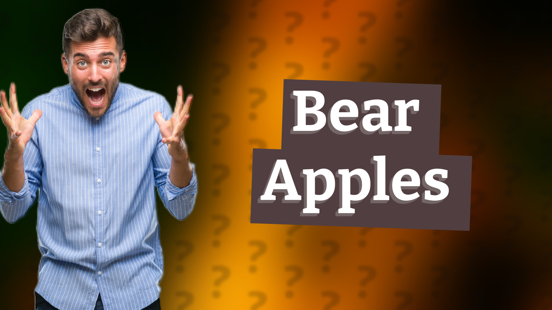 Bear Apples