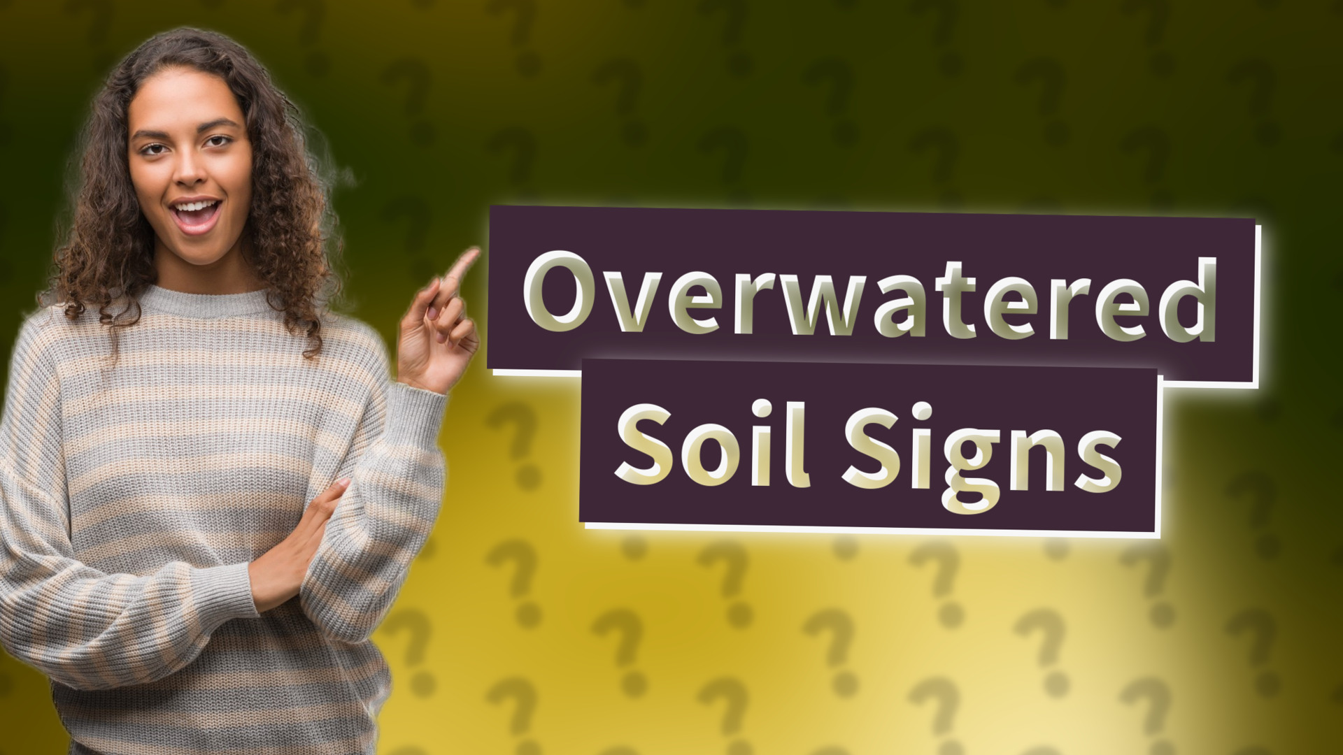 Overwatered Soil Signs