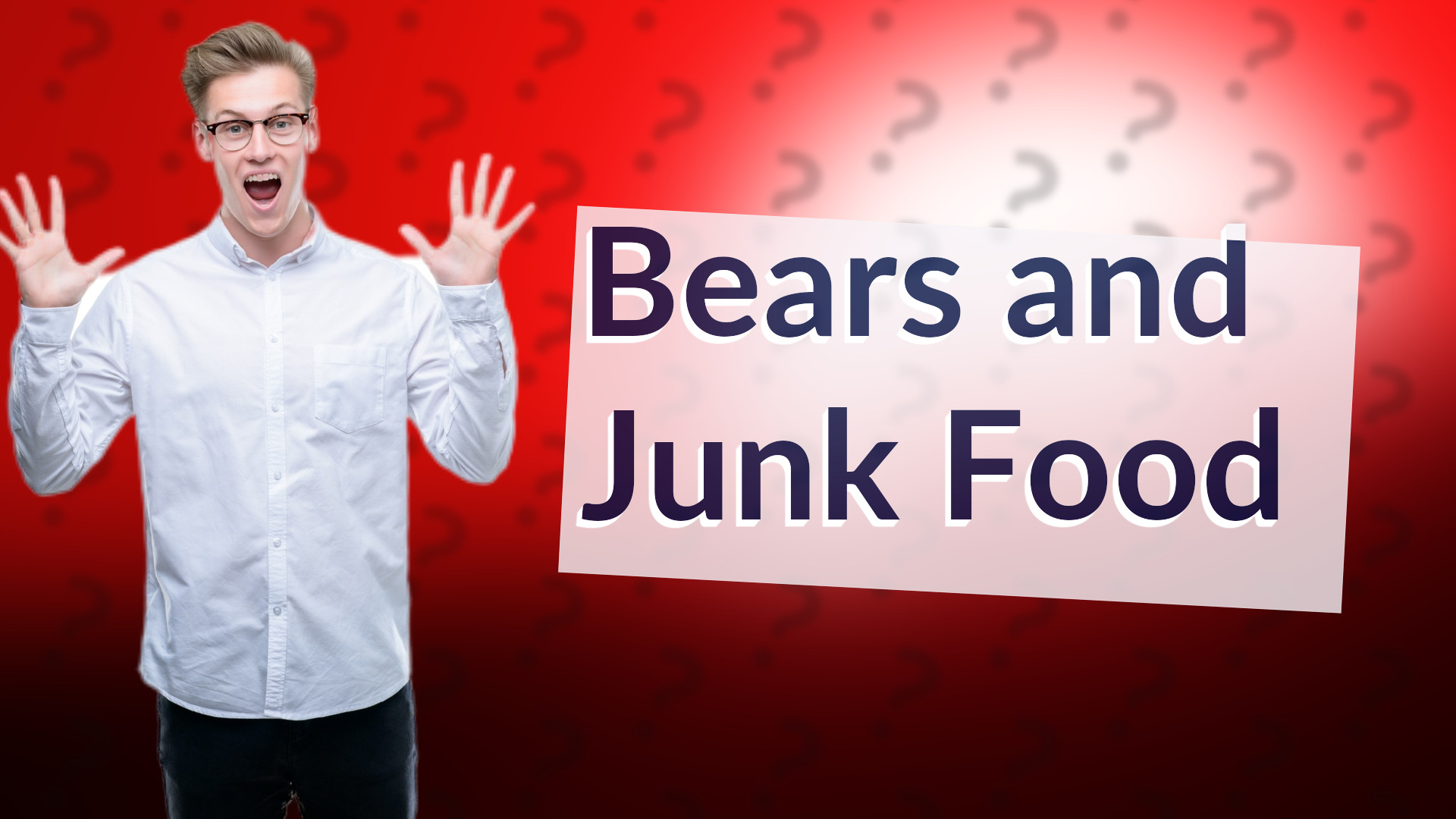 Bears and Junk Food