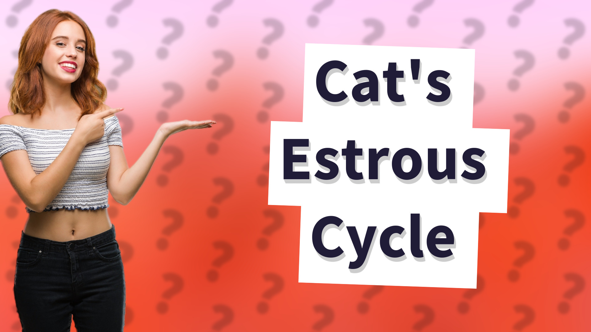 Cat's Estrous Cycle