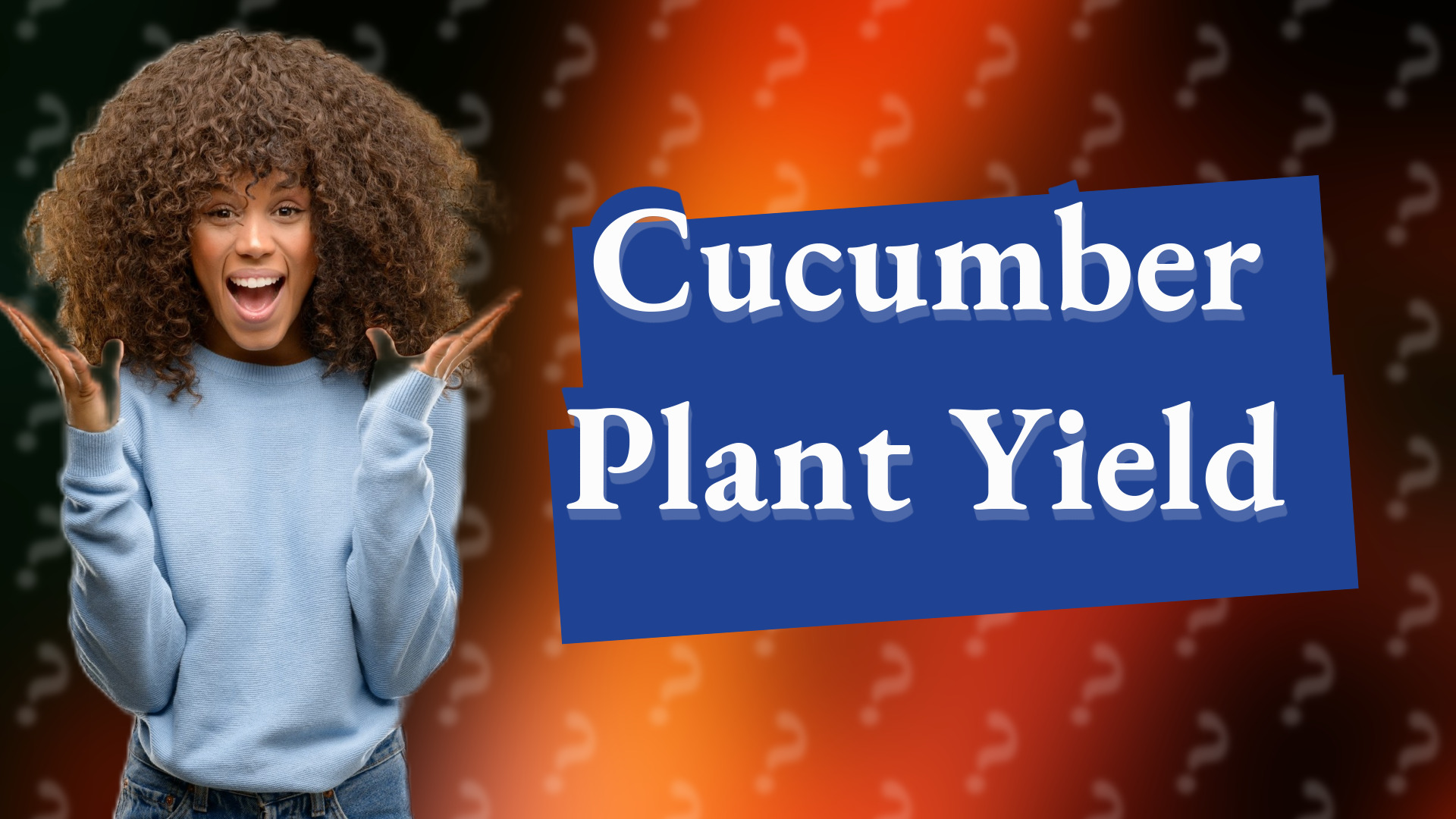 Cucumber Plant Yield