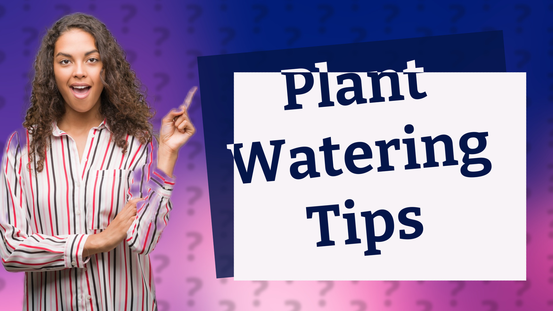 Plant Watering Tips