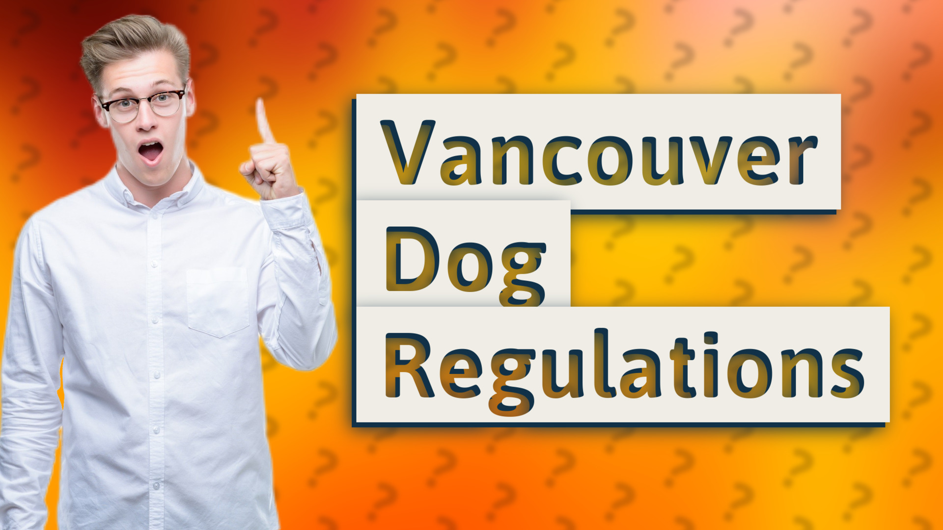 Vancouver Dog Regulations