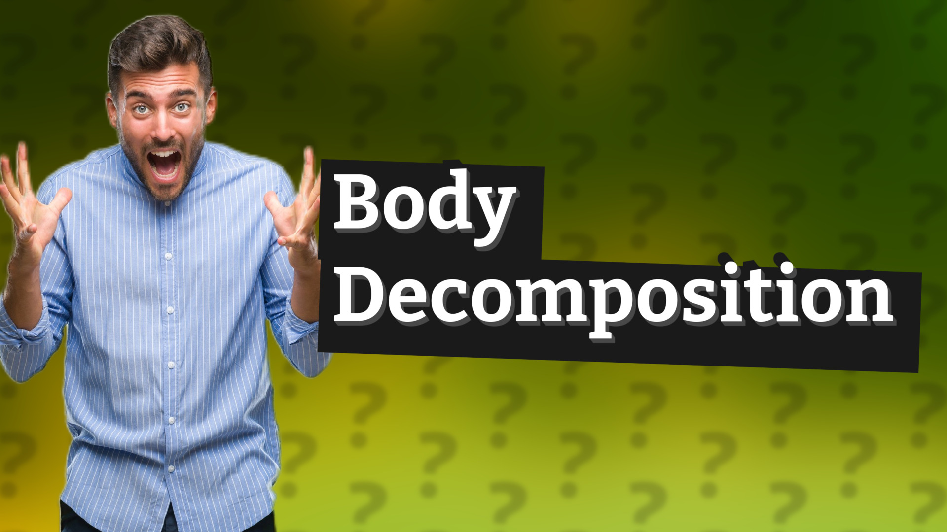 Body Decomposition