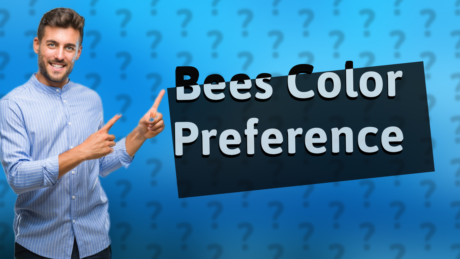 Bees Color Preference
