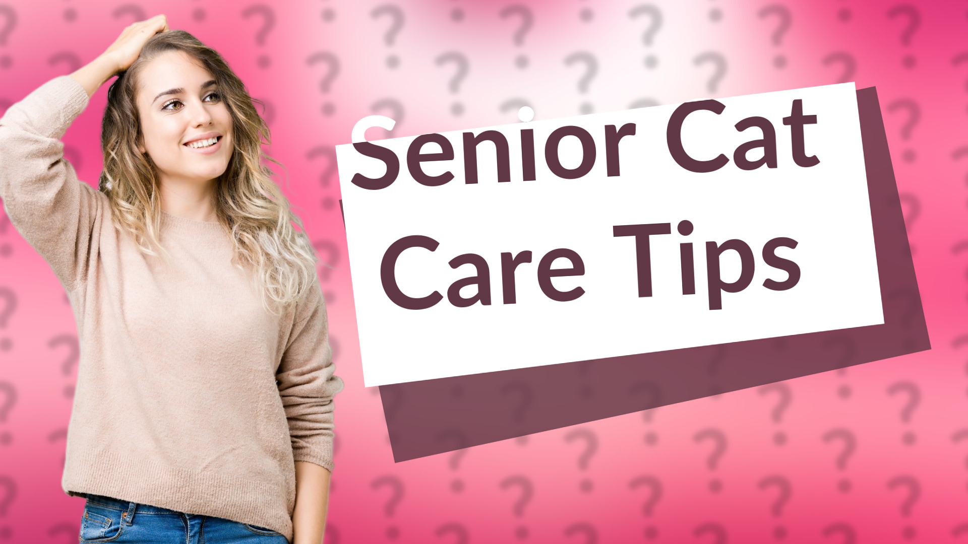 Senior Cat Care Tips