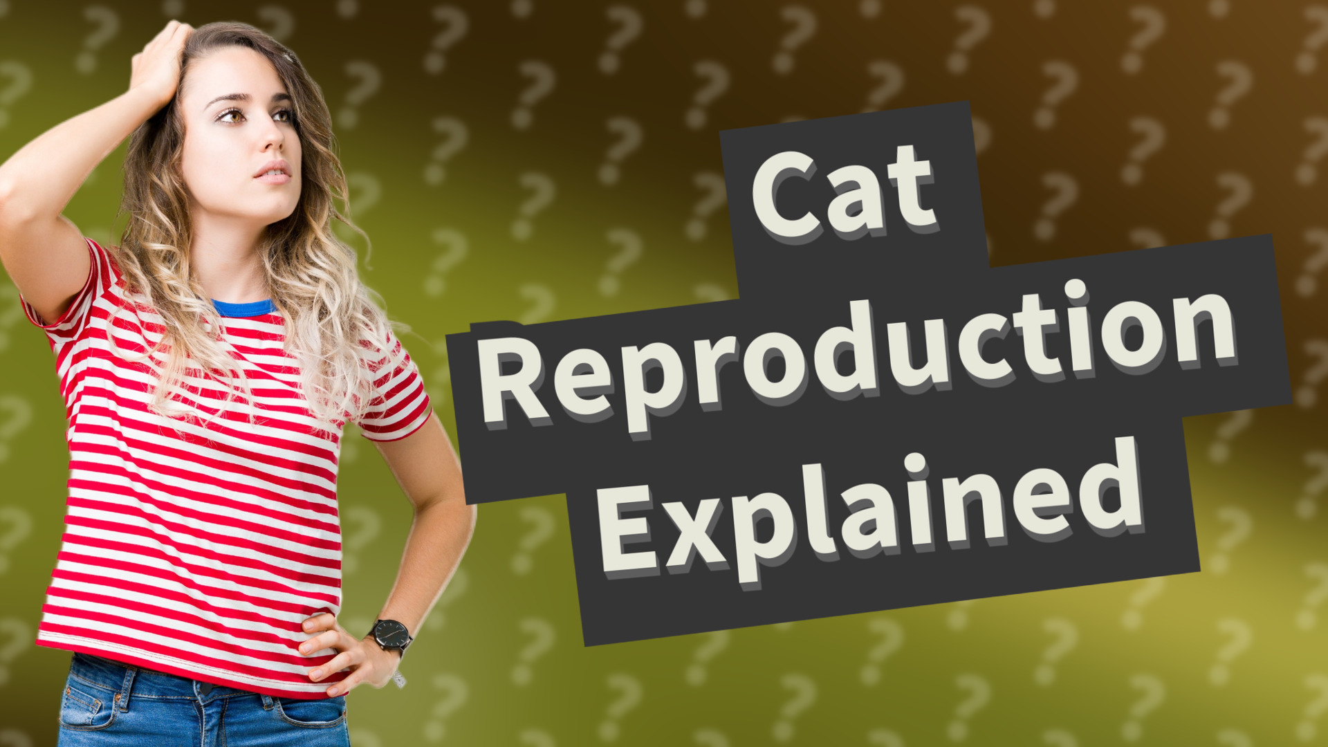 Cat Reproduction Explained