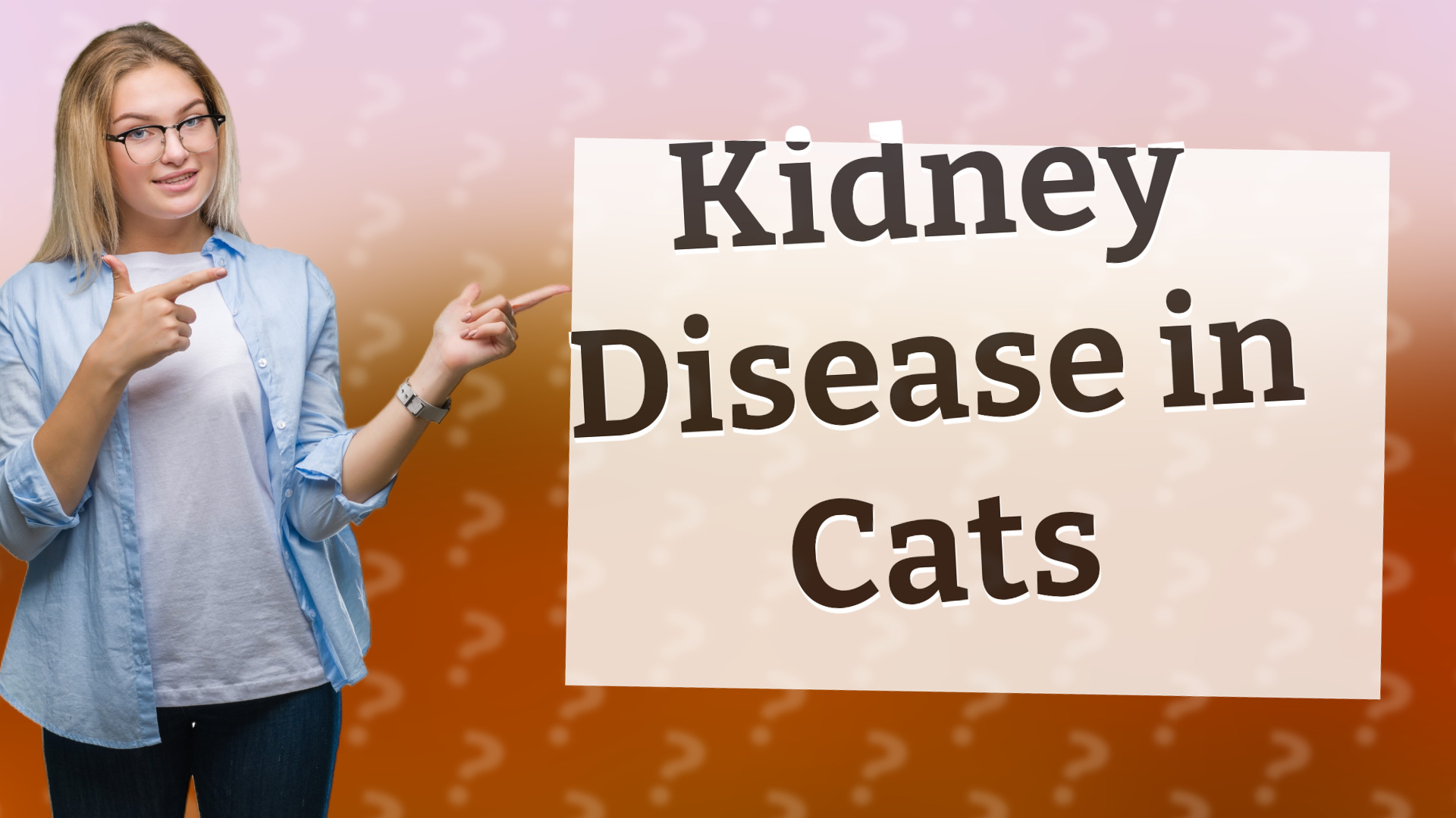 Kidney Disease in Cats