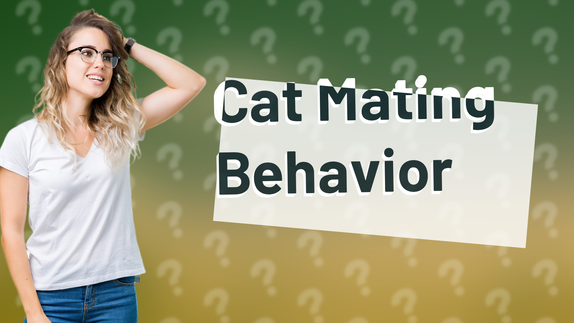 Cat Mating Behavior