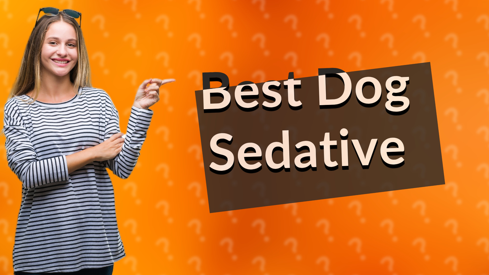Best Dog Sedative