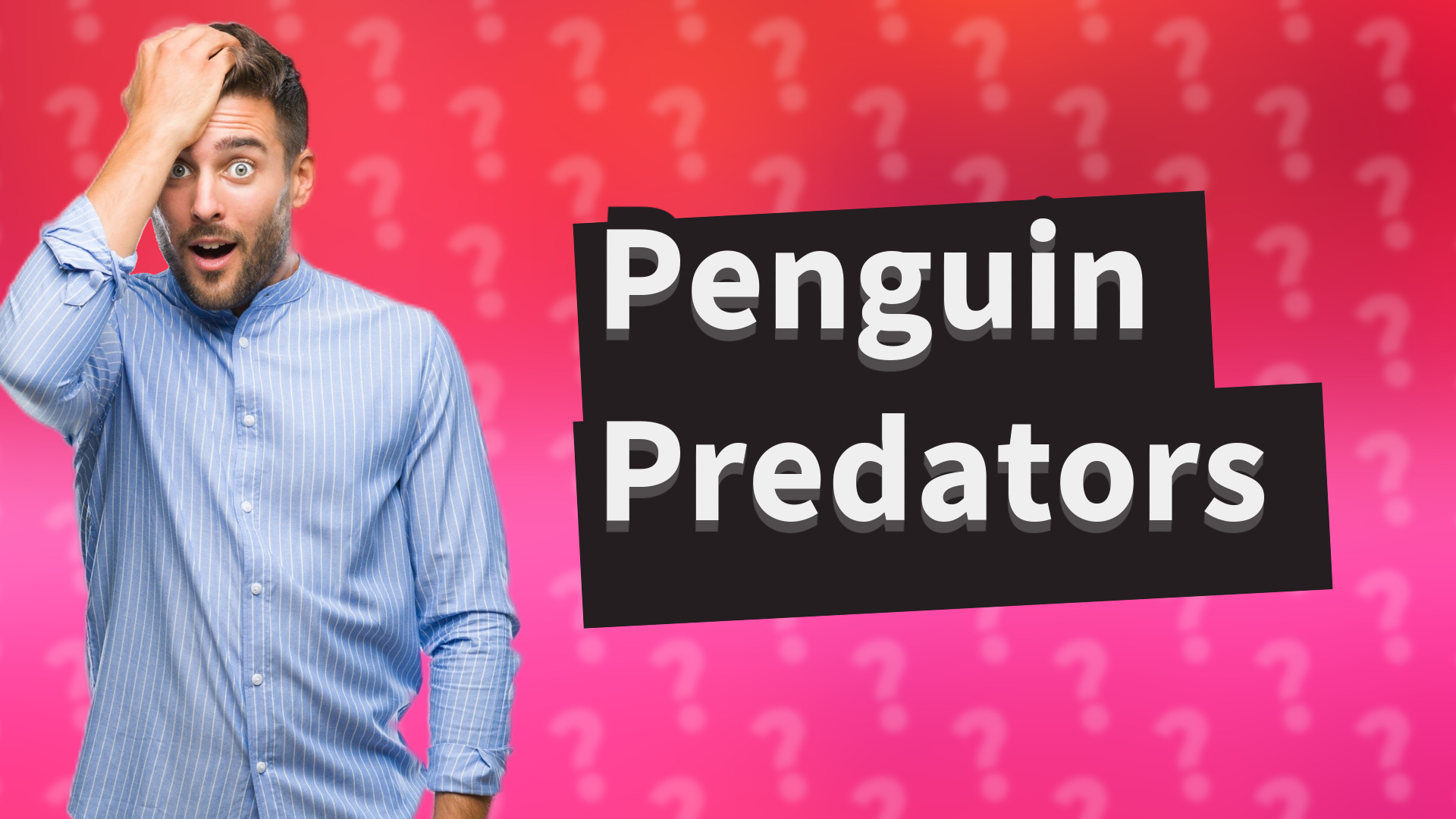 Penguin Predators
