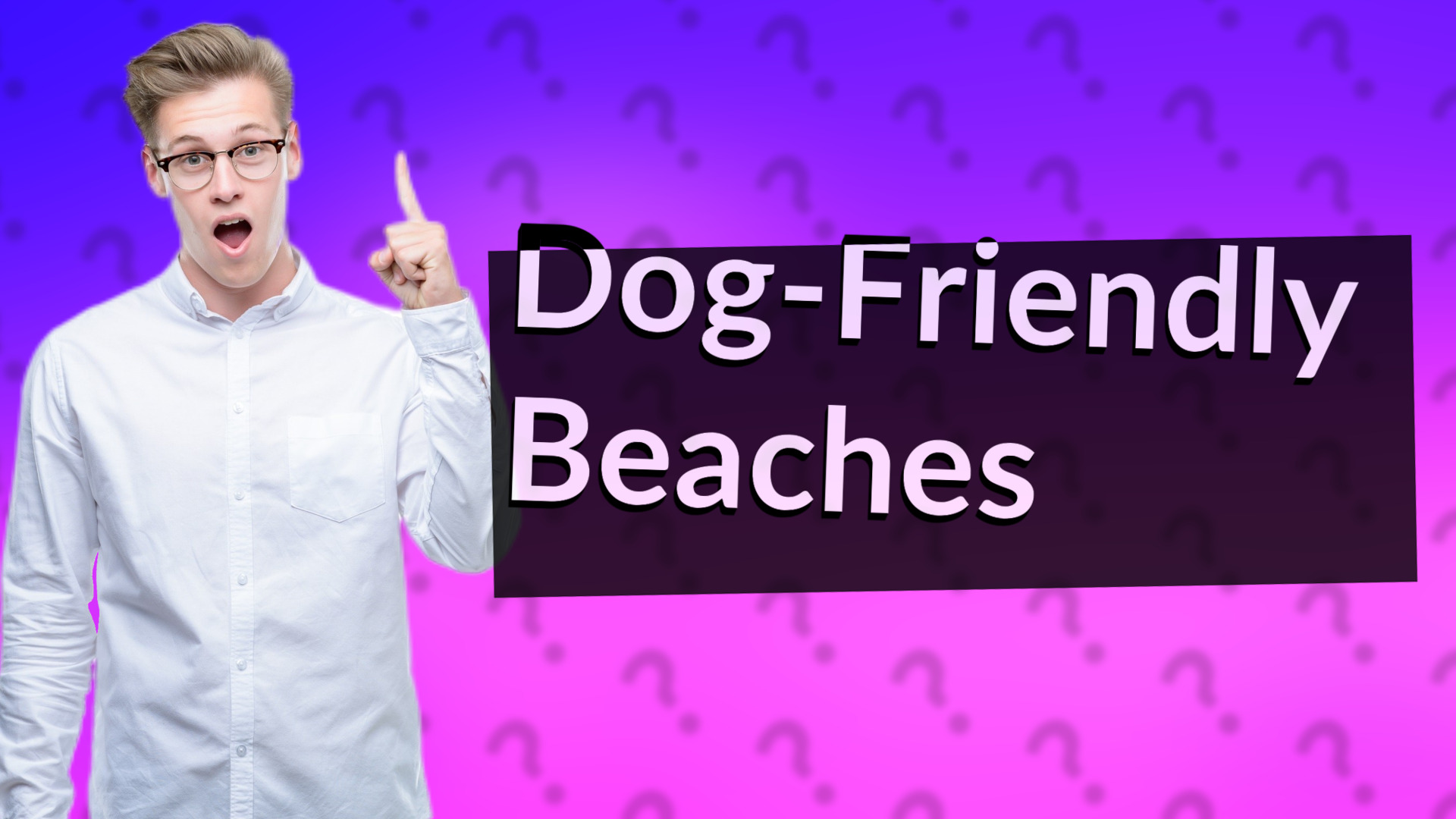 Dog-Friendly Beaches