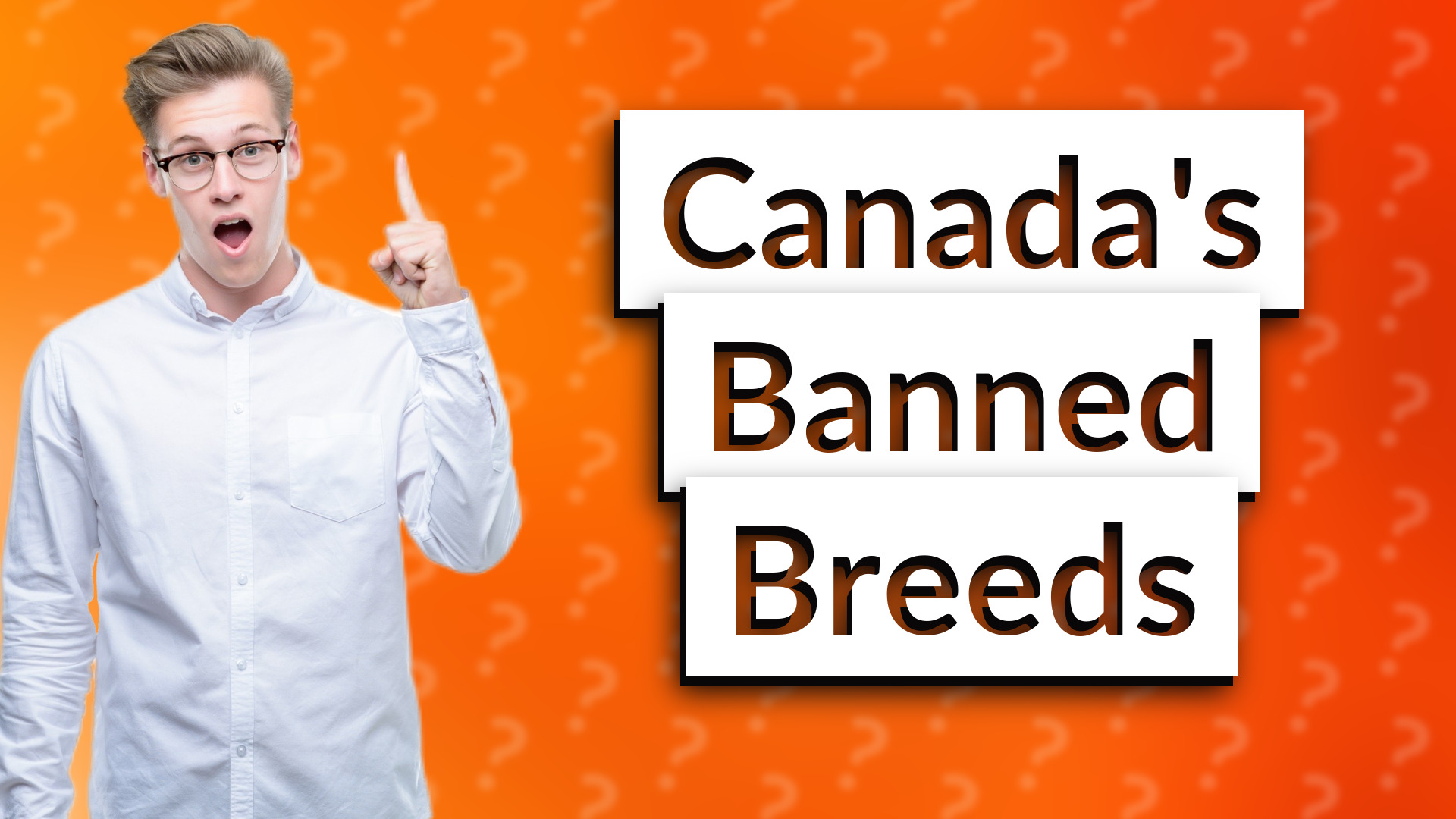 Canada's Banned Breeds