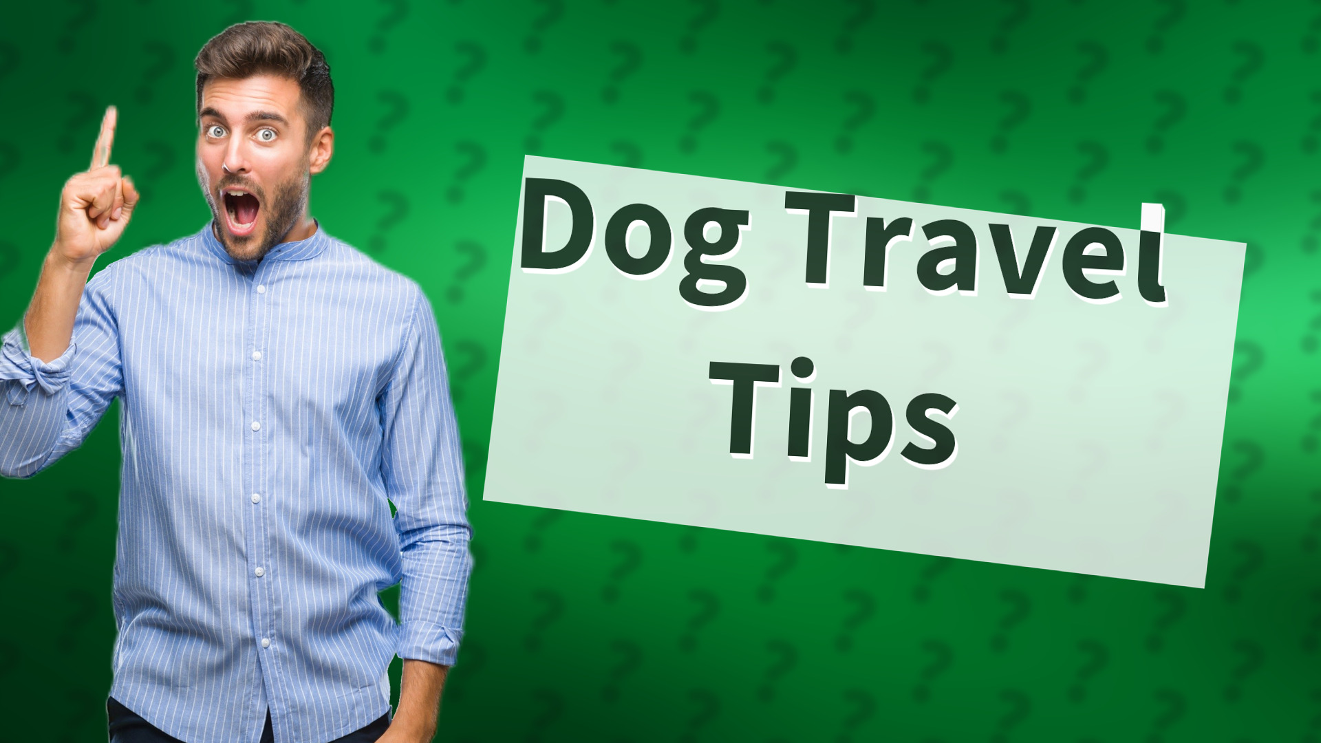 Dog Travel Tips