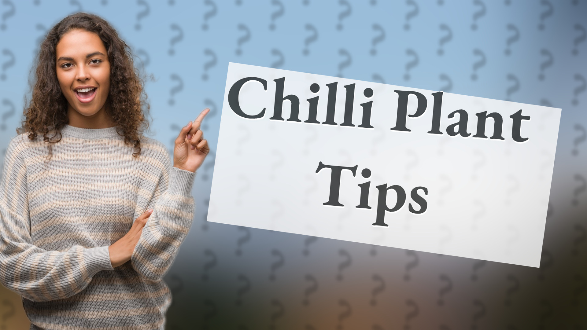 Chilli Plant Tips