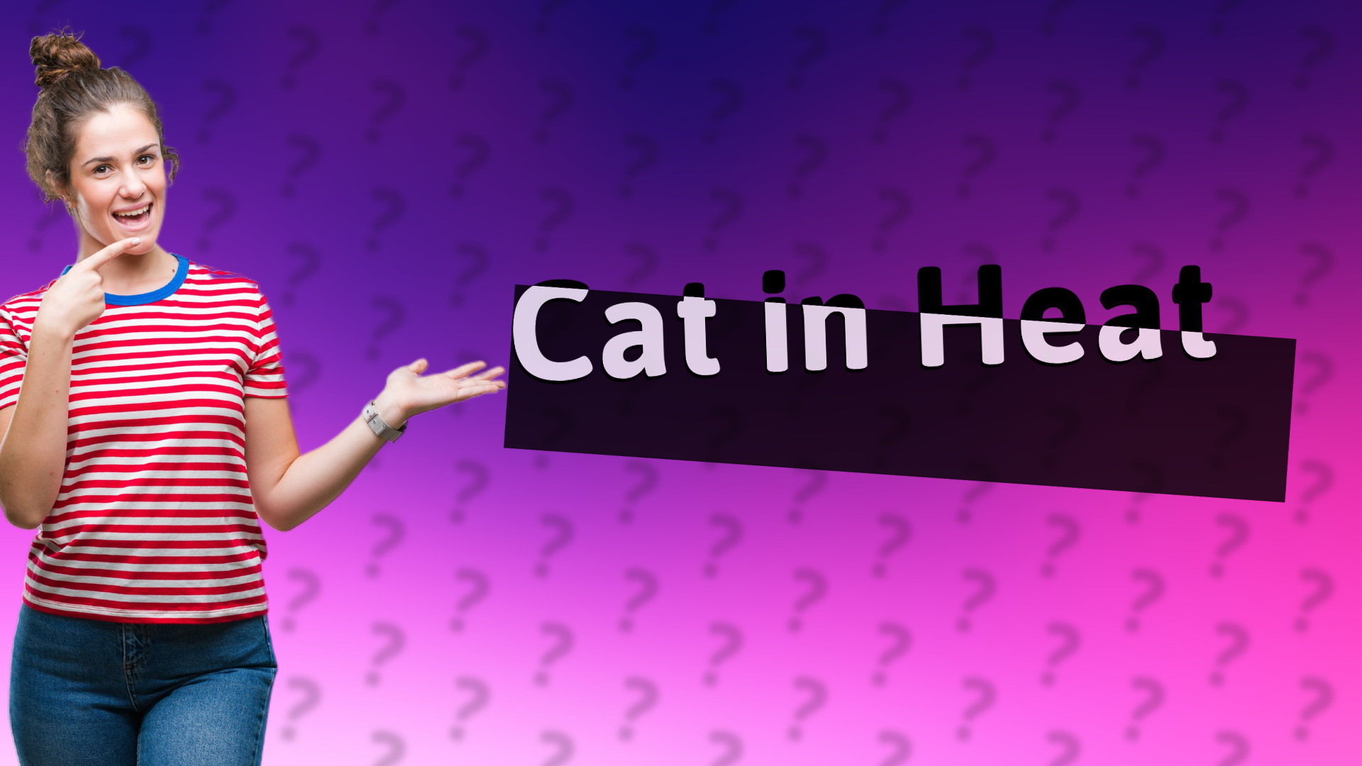 Cat in Heat