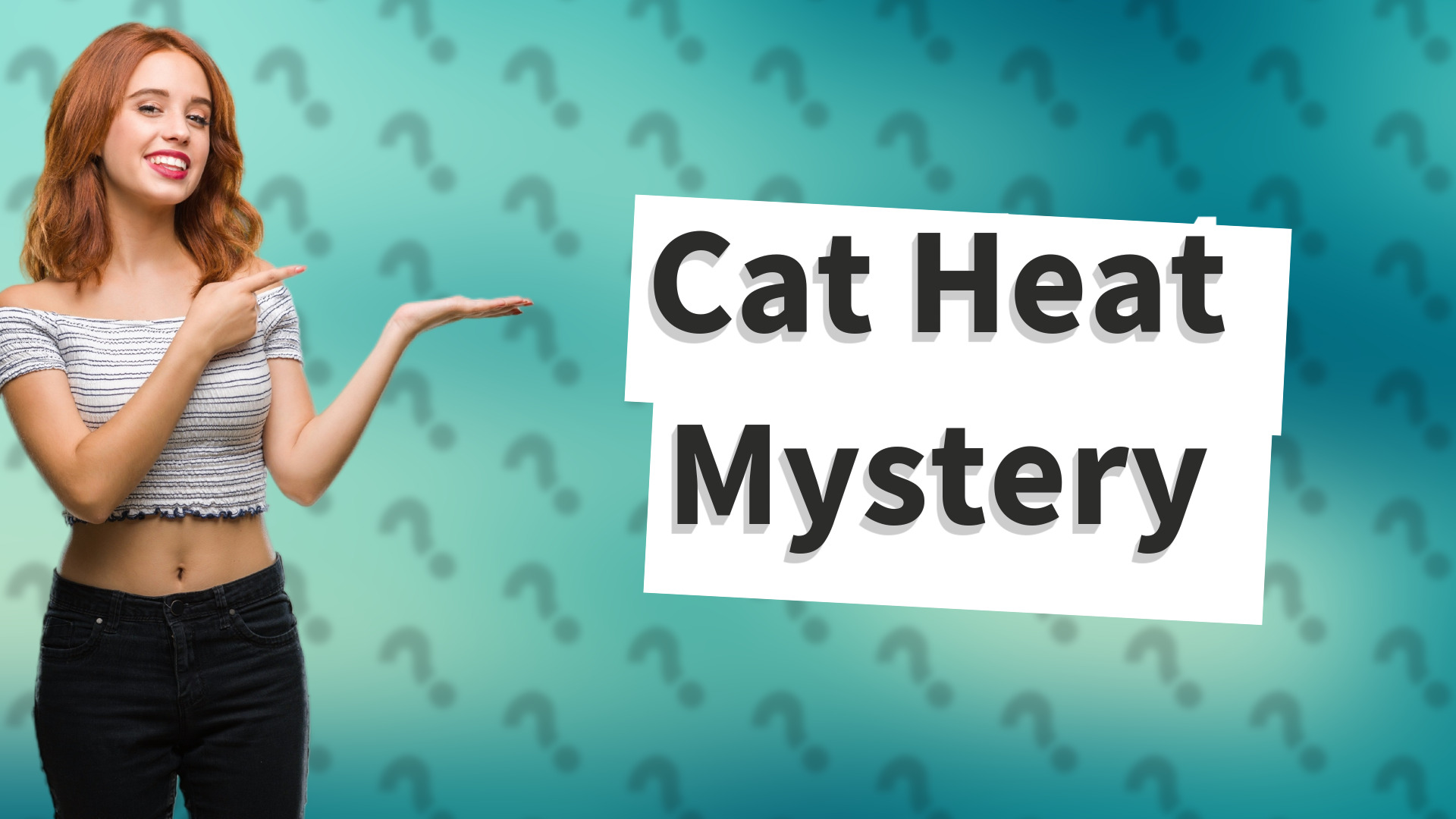 Cat Heat Mystery