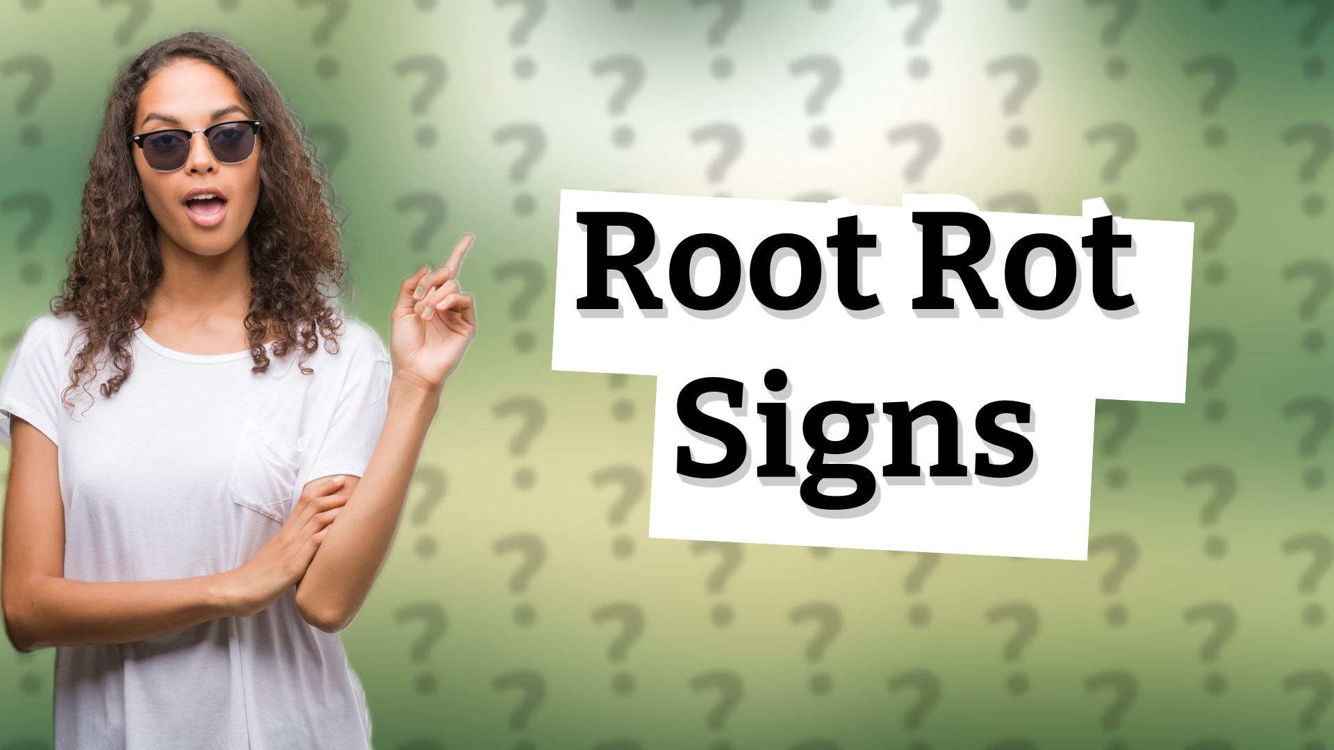 Root Rot Signs