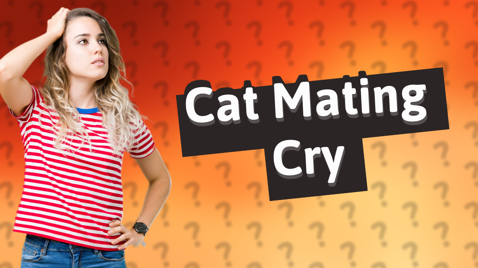 Cat Mating Cry