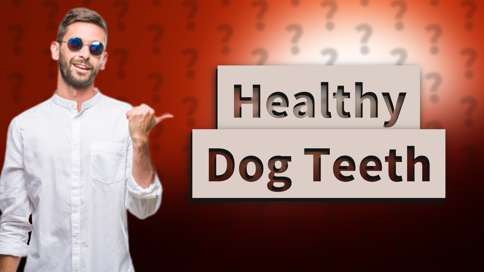 Healthy Dog Teeth