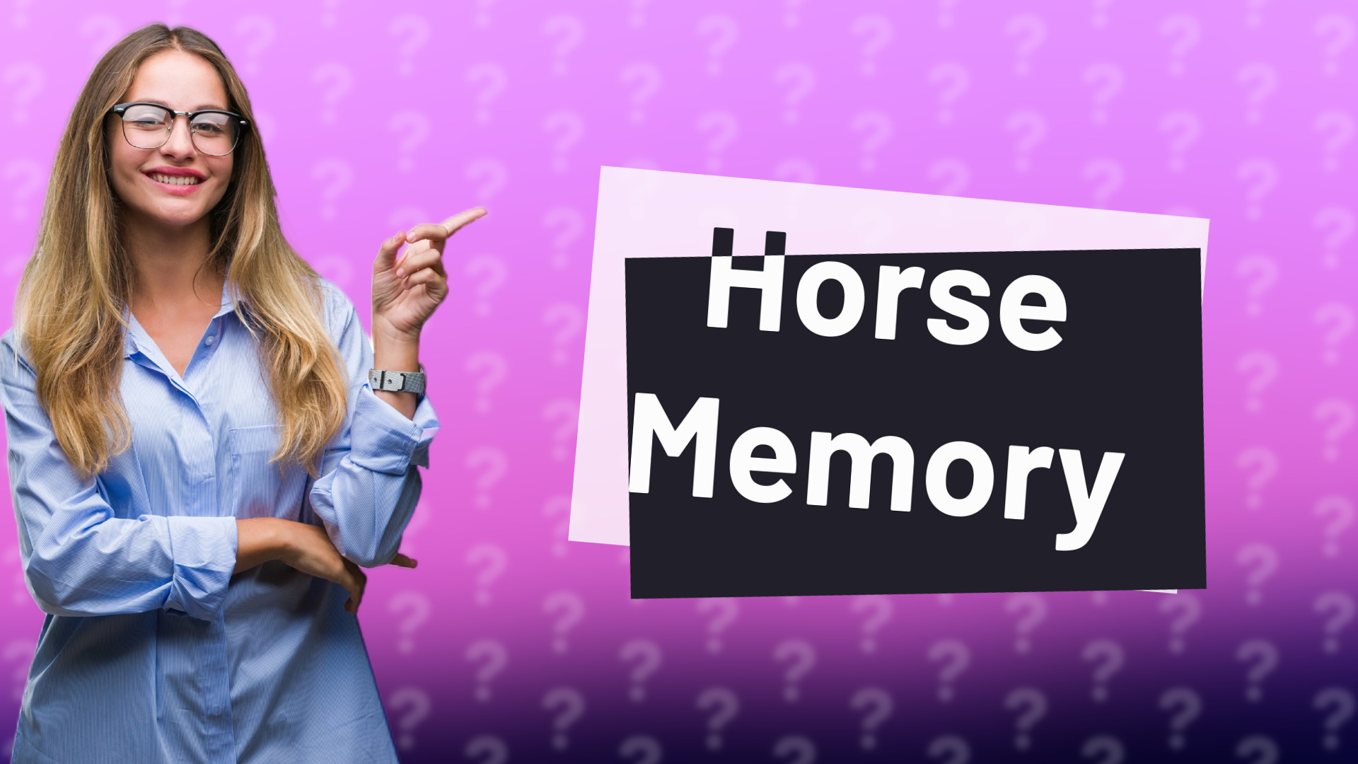 Horse Memory