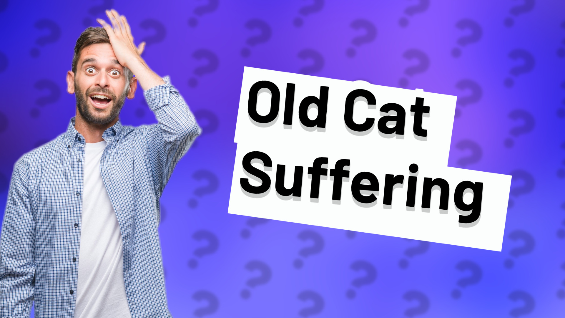 Old Cat Suffering