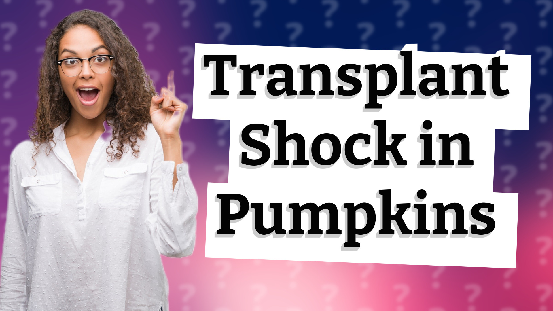 Transplant Shock in Pumpkins