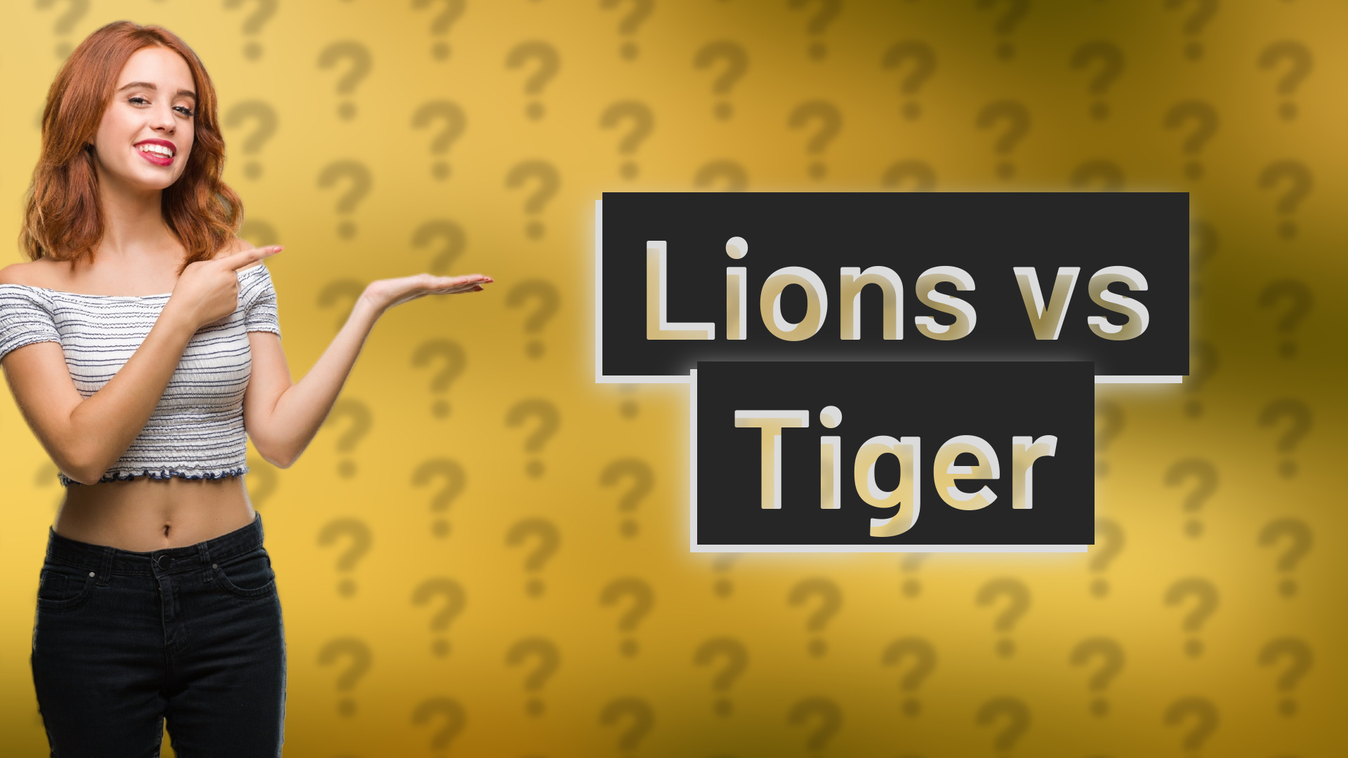 Lions vs Tiger
