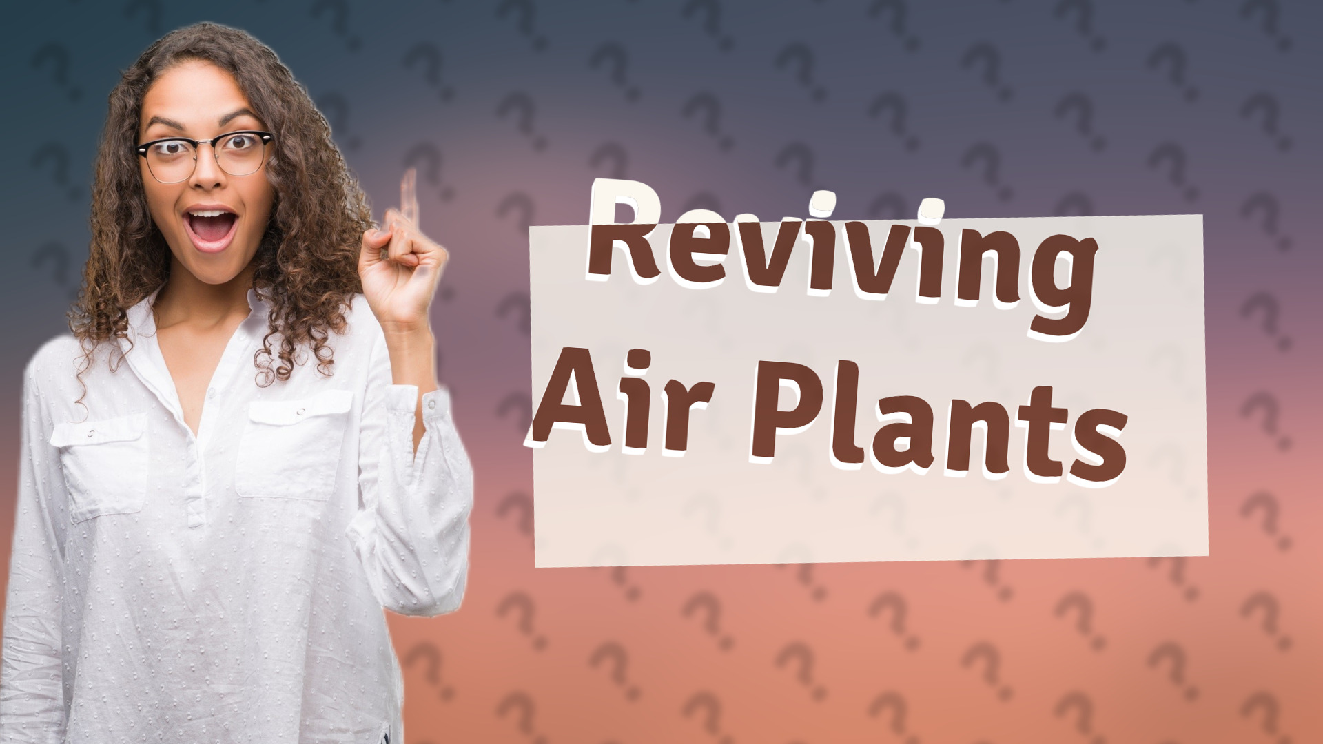 Reviving Air Plants