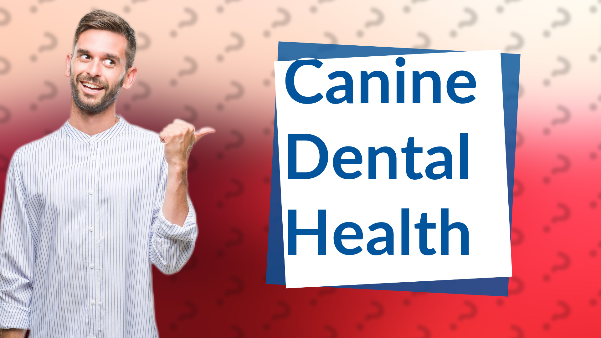 Canine Dental Health
