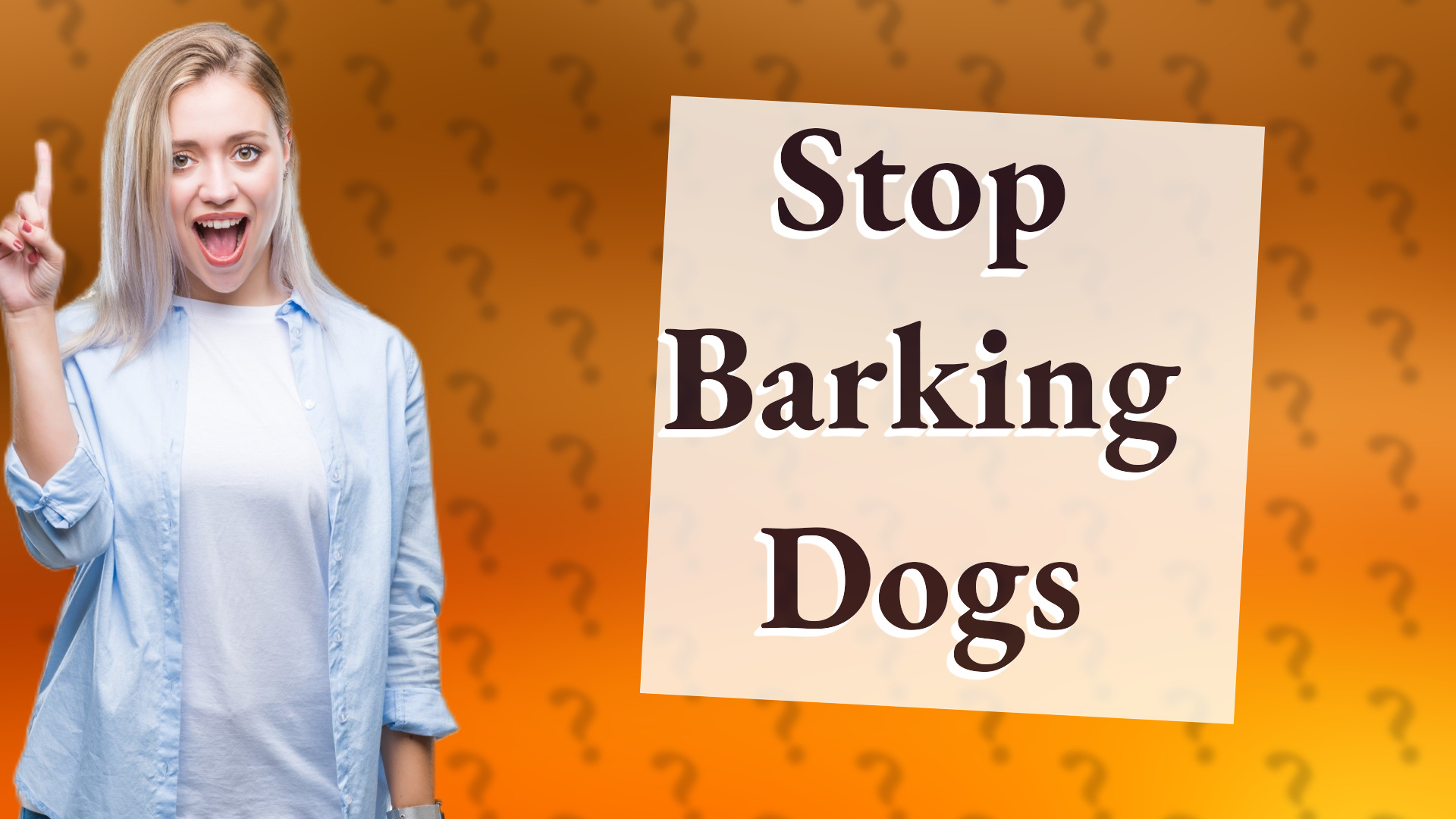 Stop Barking Dogs