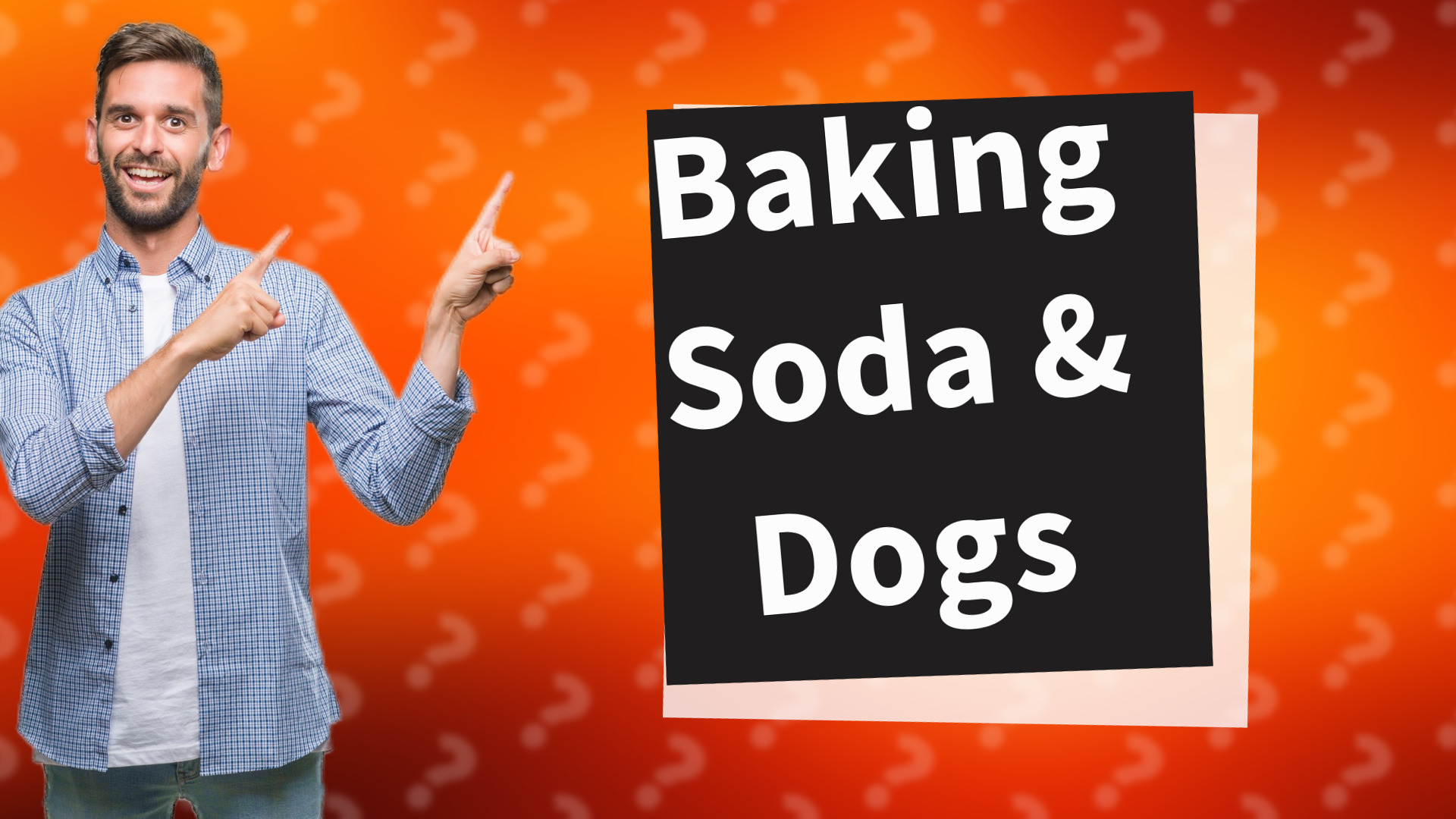 Baking Soda & Dogs