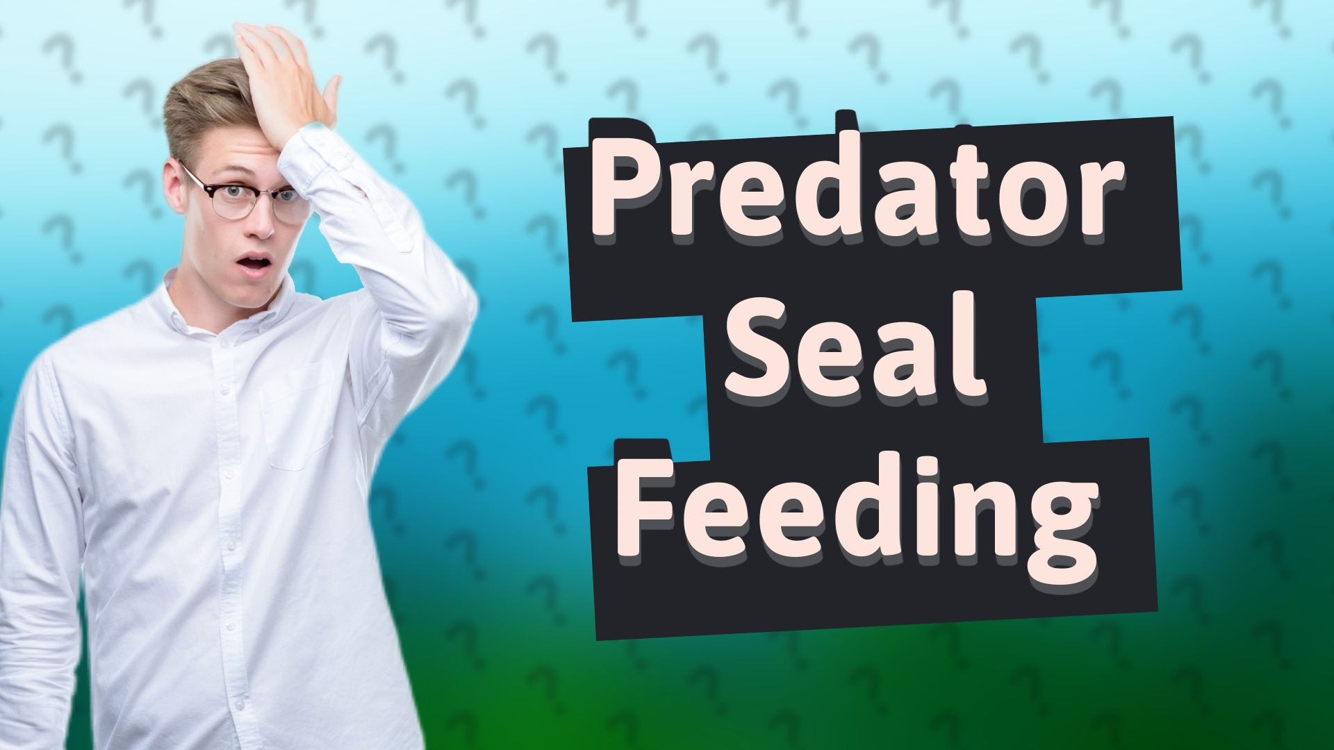 Predator Seal Feeding