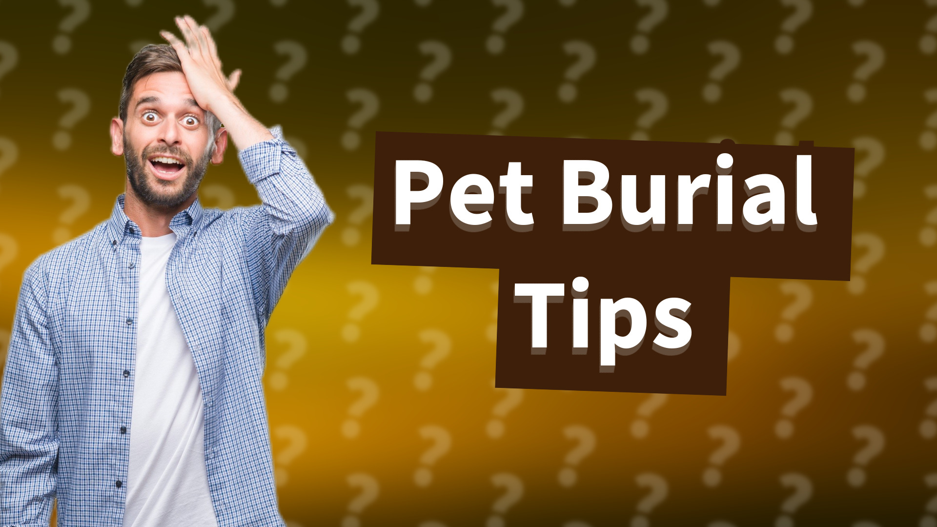 Pet Burial Tips