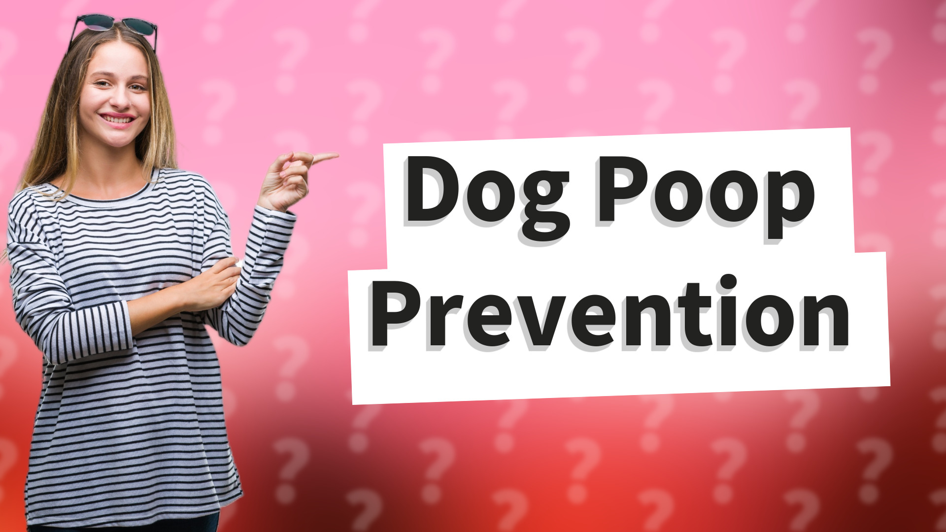 Dog Poop Prevention