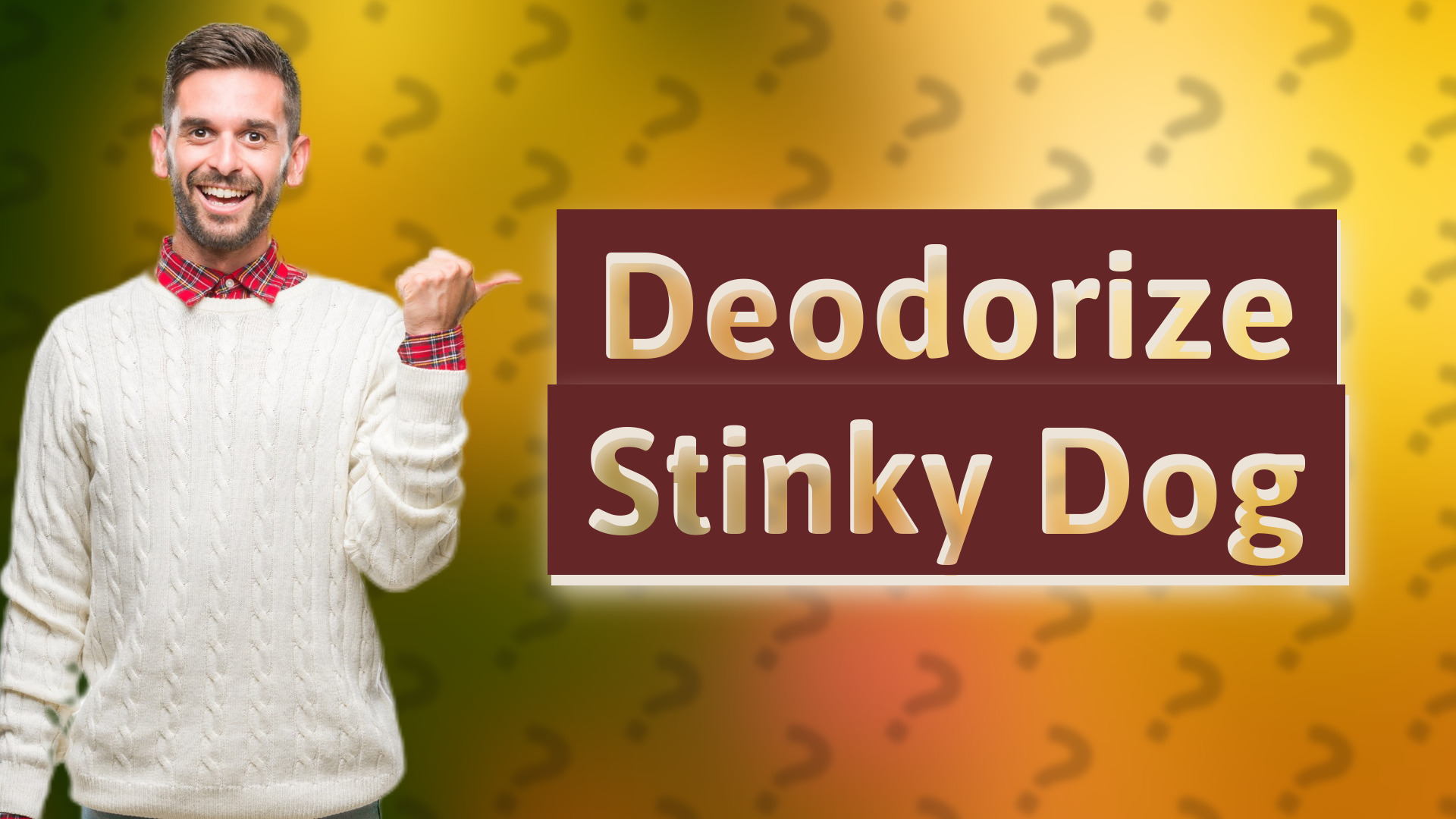 Deodorize Stinky Dog