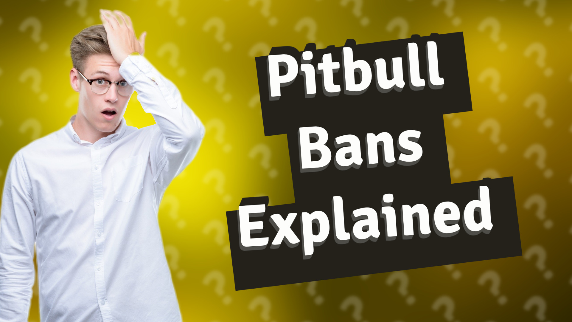 Pitbull Bans Explained