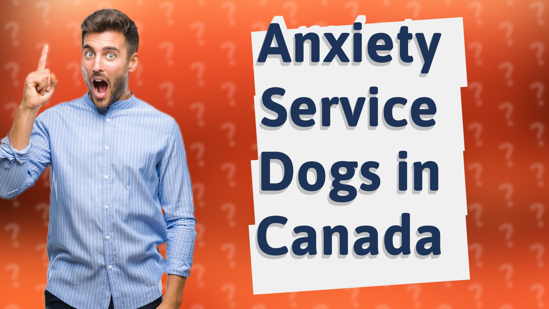 Anxiety Service Dogs in Canada